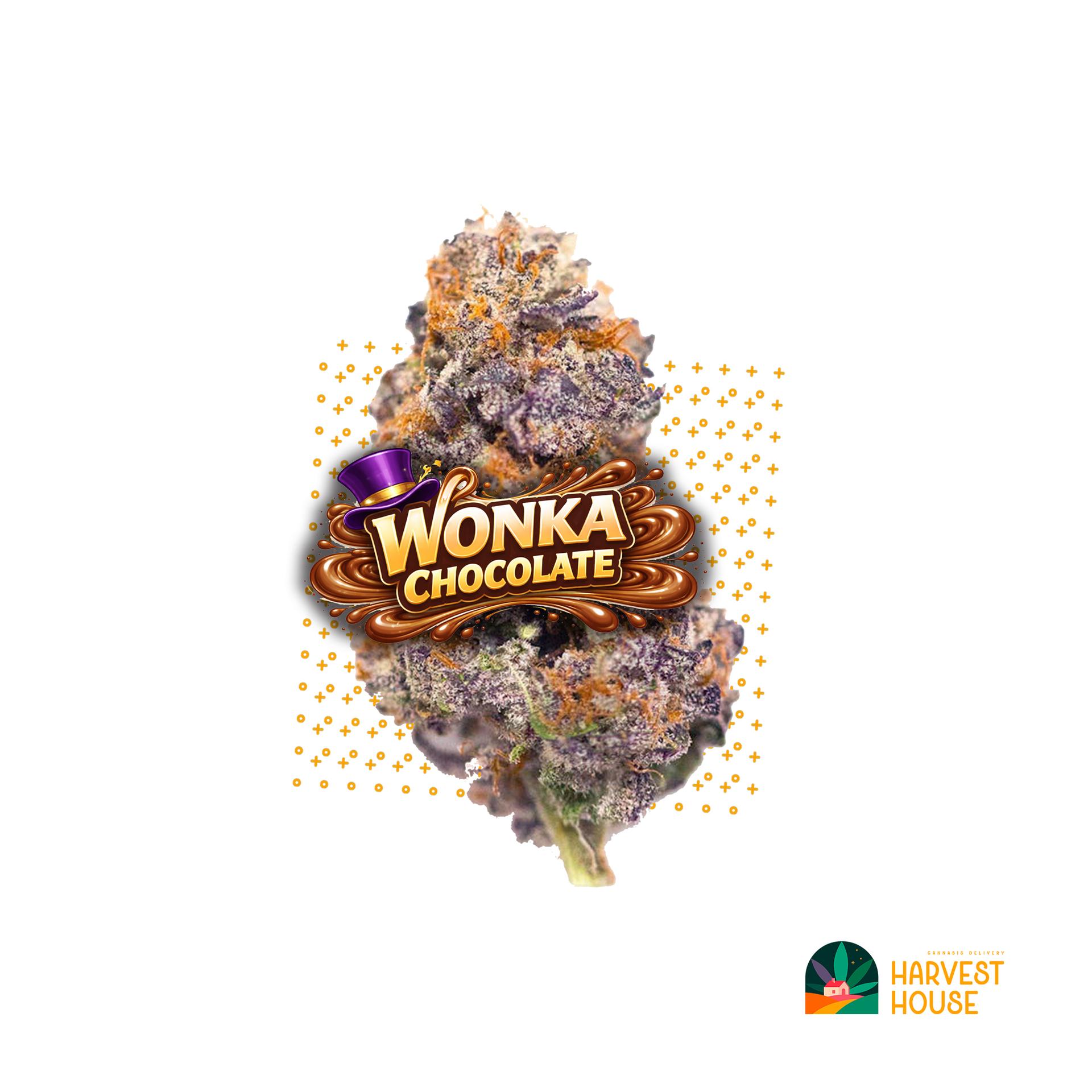 Wonka Chocolate - Hybrid - 35.34% THC by Animal