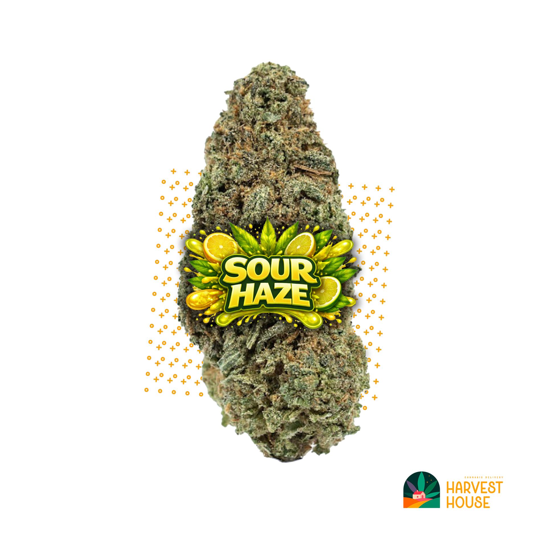 Sour Haze - Sativa - 30.95% THC by Animal