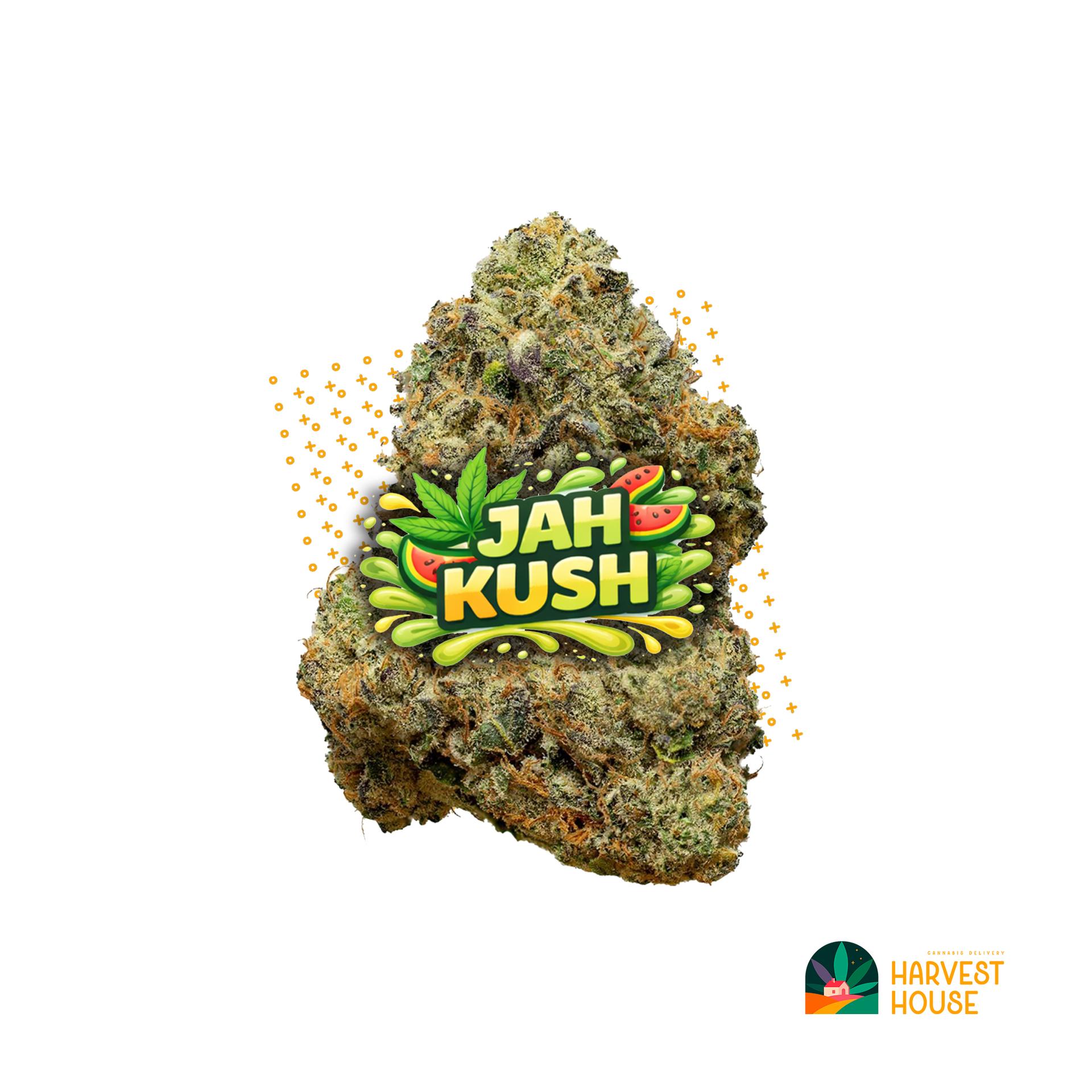 Jah Kush - Indica - 25.73% THC by Animal