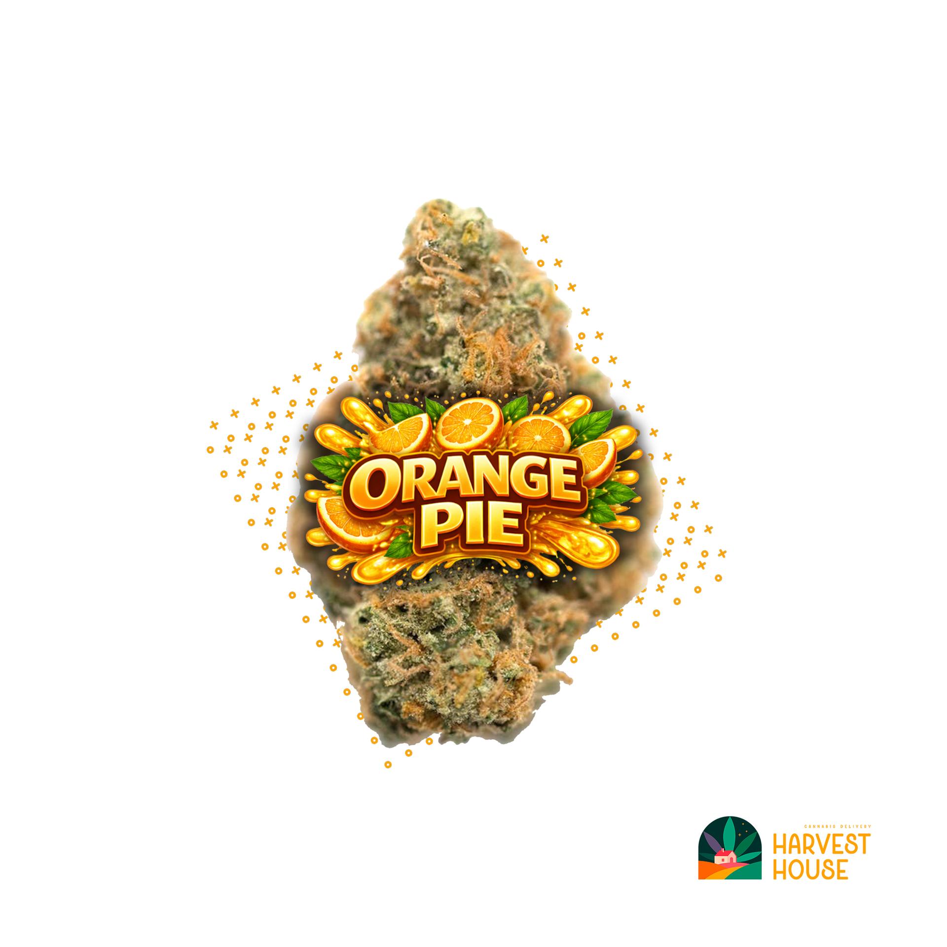 Orange Pie - Indica - 26.44% THC by Animal