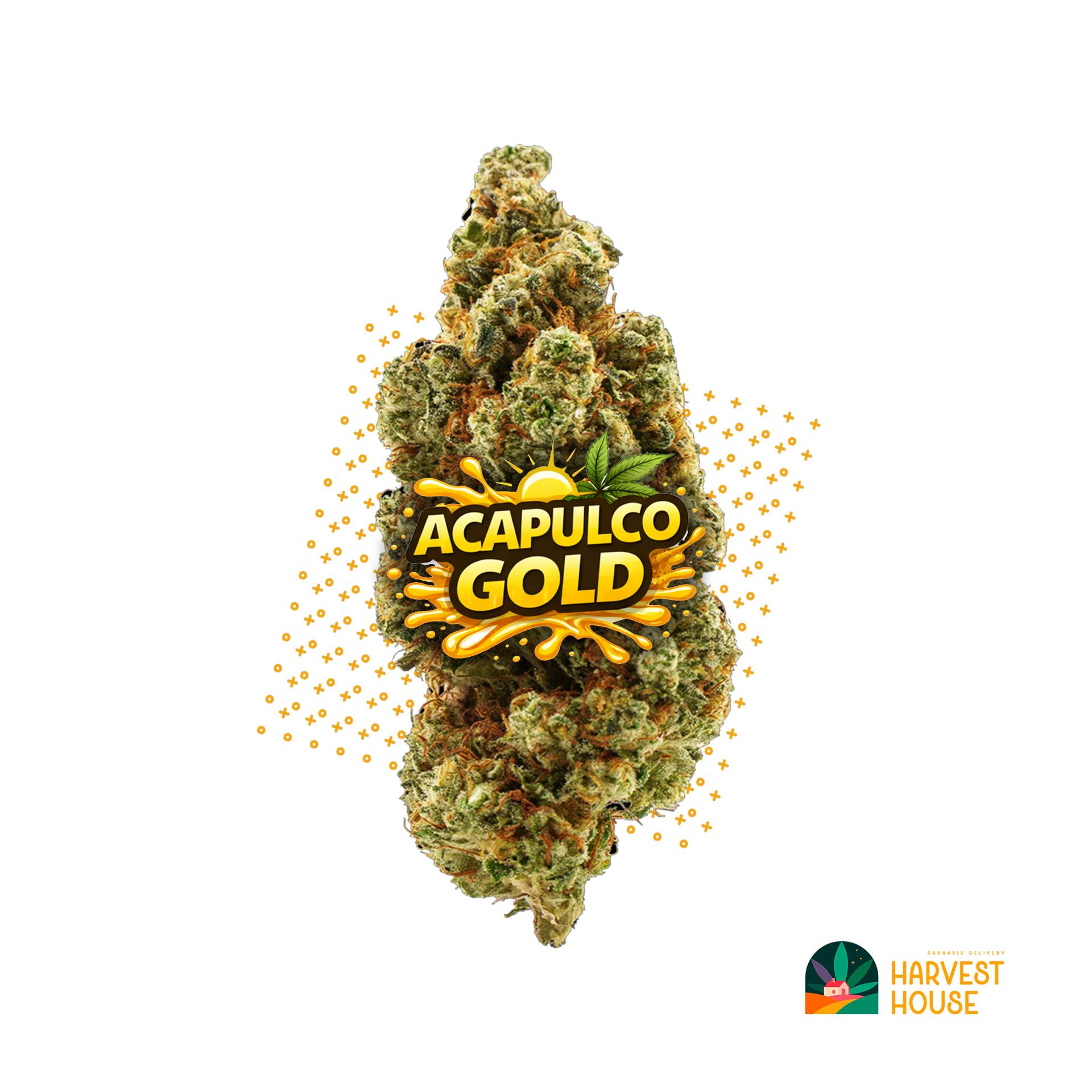 Acapulco Gold - Sativa - 30.12% THC by Animal