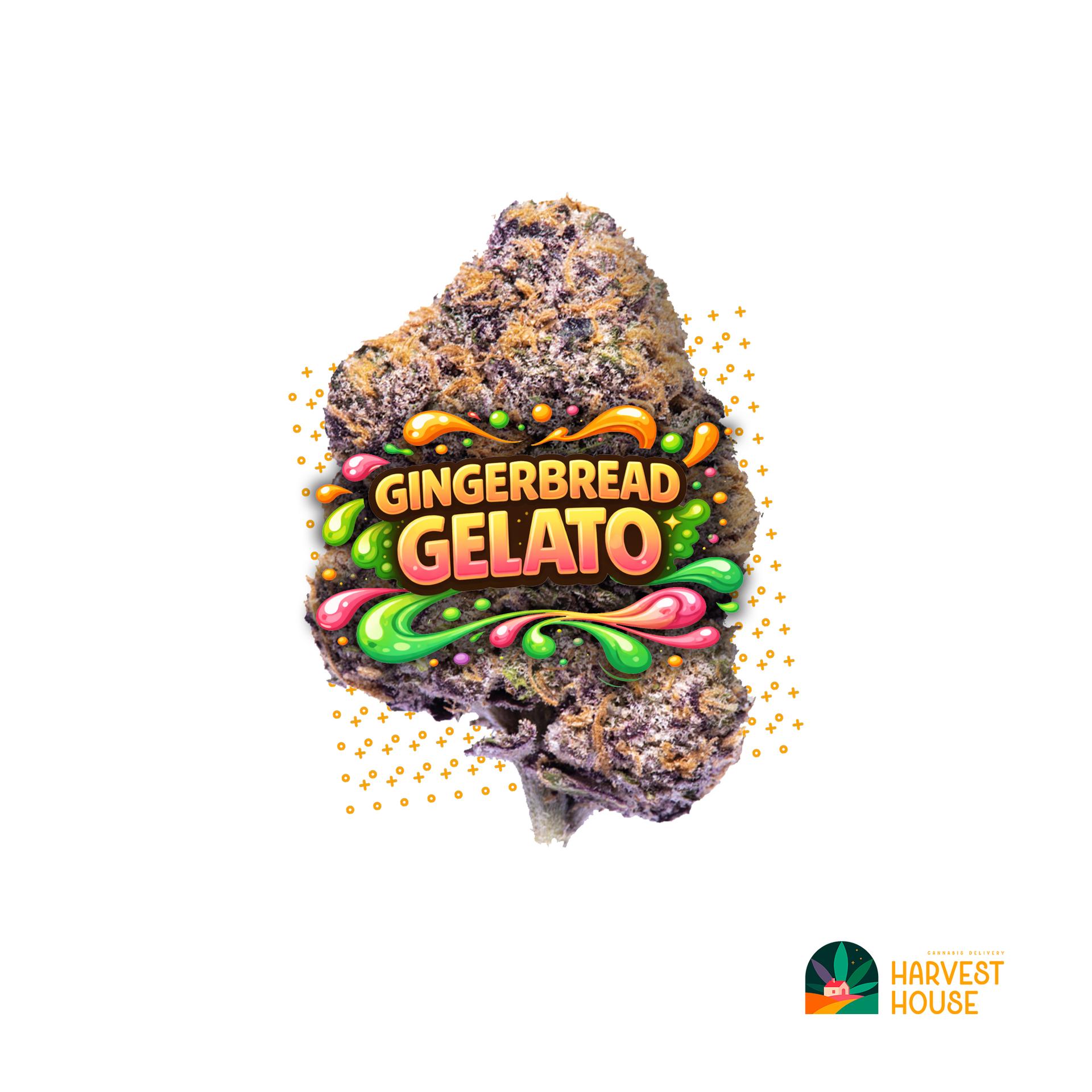 Gingerbread Gelato - Indica - 35.99% THC by Animal