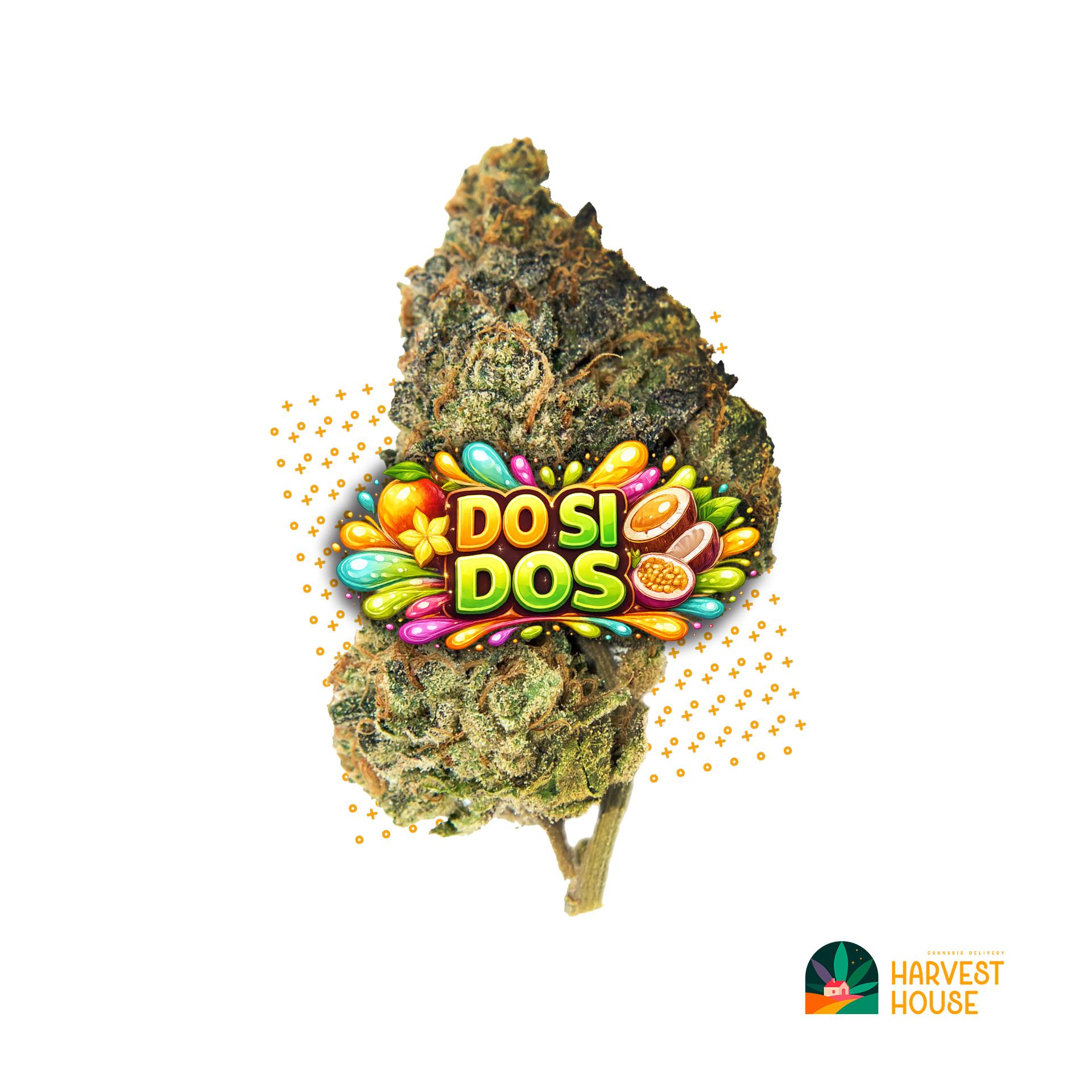 Do Si Dos - Hybrid - 30.92% THC by Animal