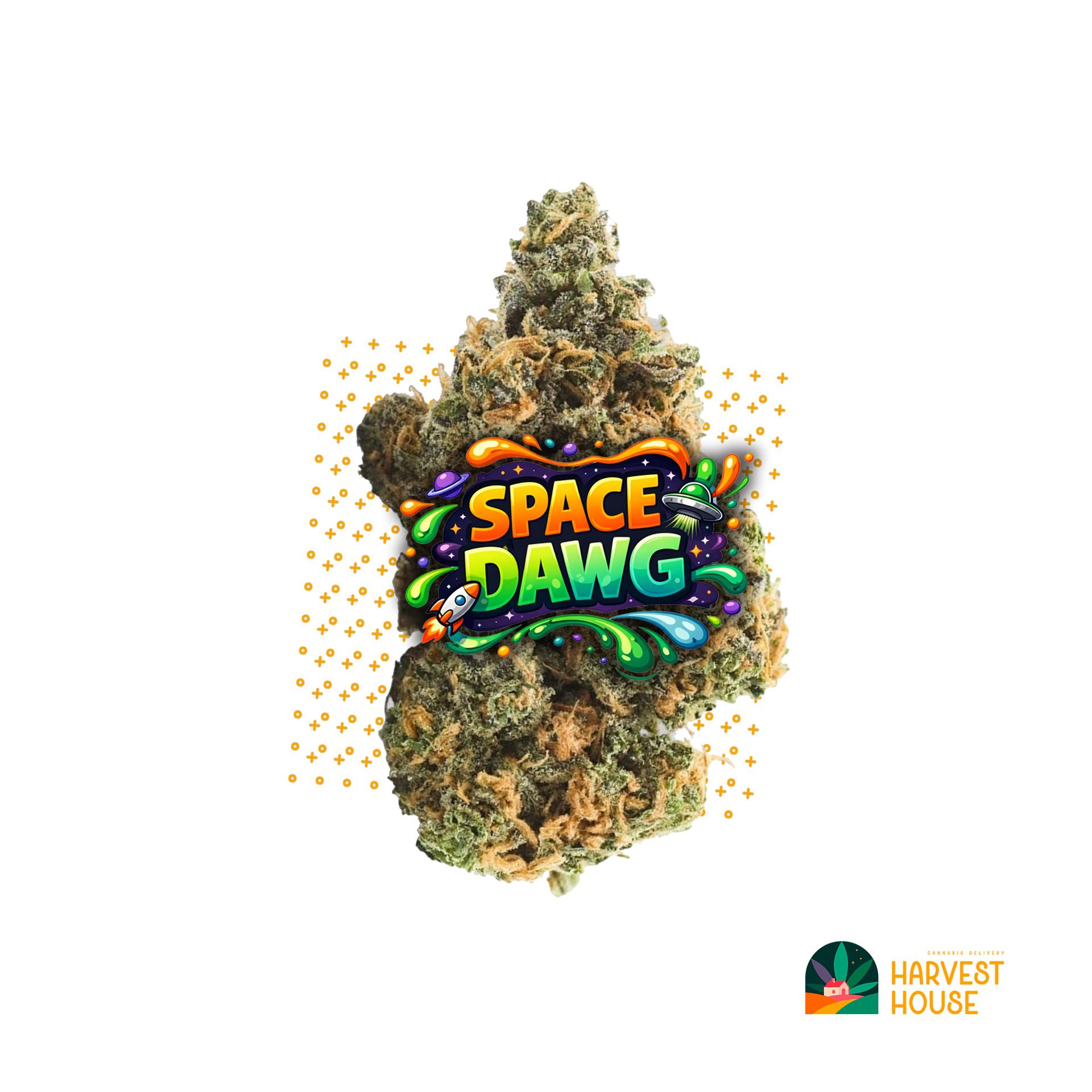 Space Dawg - Indica - 30.95% THC by Animal