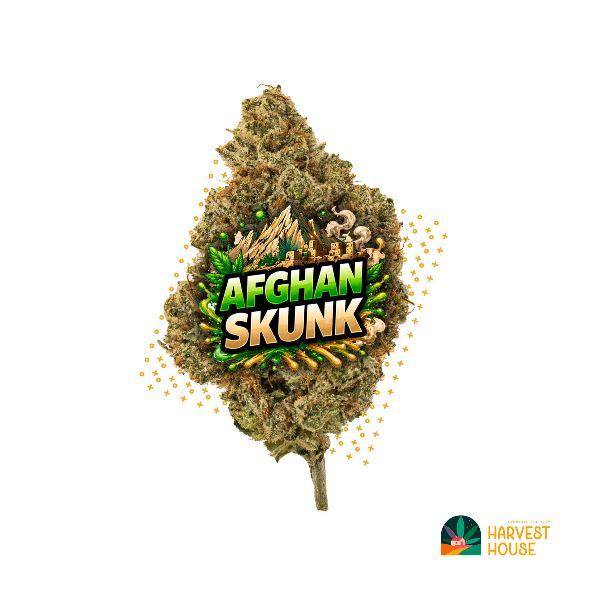 Afghan Skunk - Indica - 30.76% THC by Animal