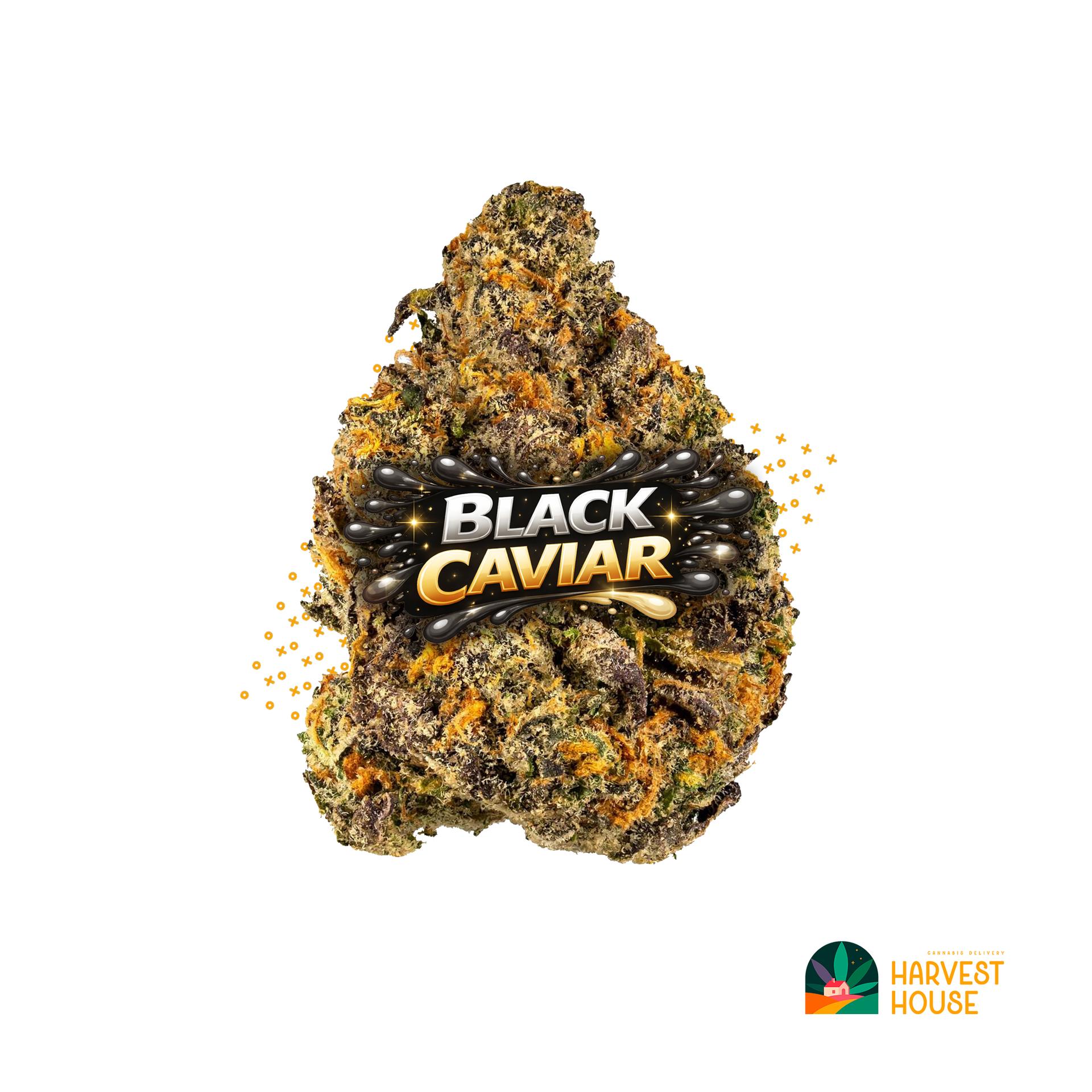 Black Caviar - Indica - 33.92% THC by Animal