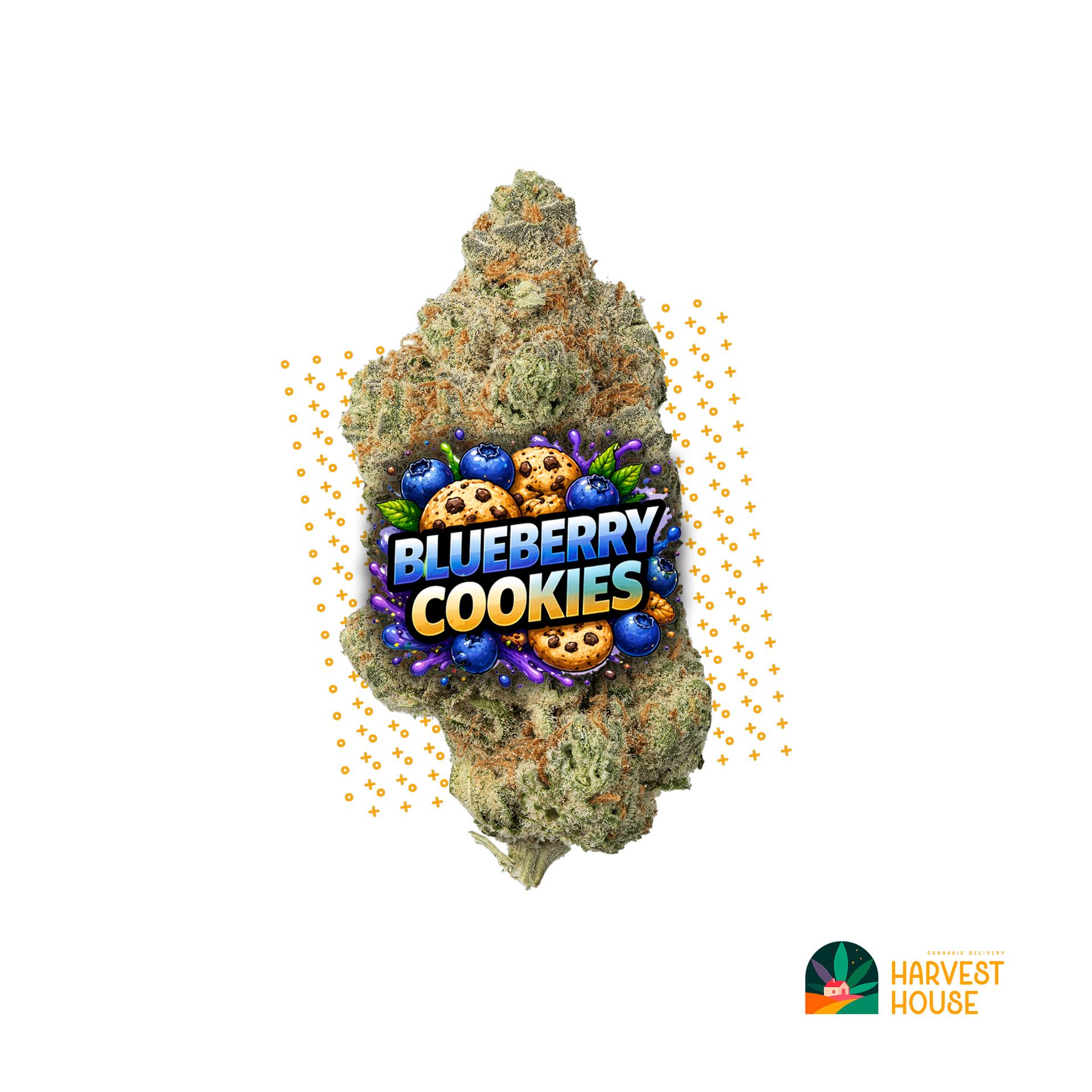 Blueberry Cookies - Hybrid - 27.44% THC by Animal