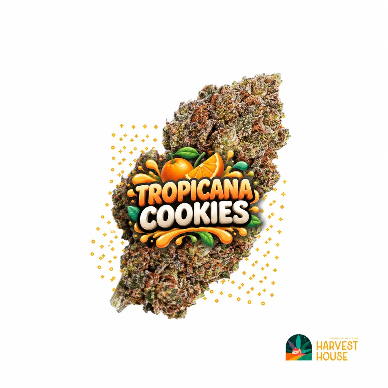 Tropicana Cookies - Sativa - 31.73% THC by Harvest House