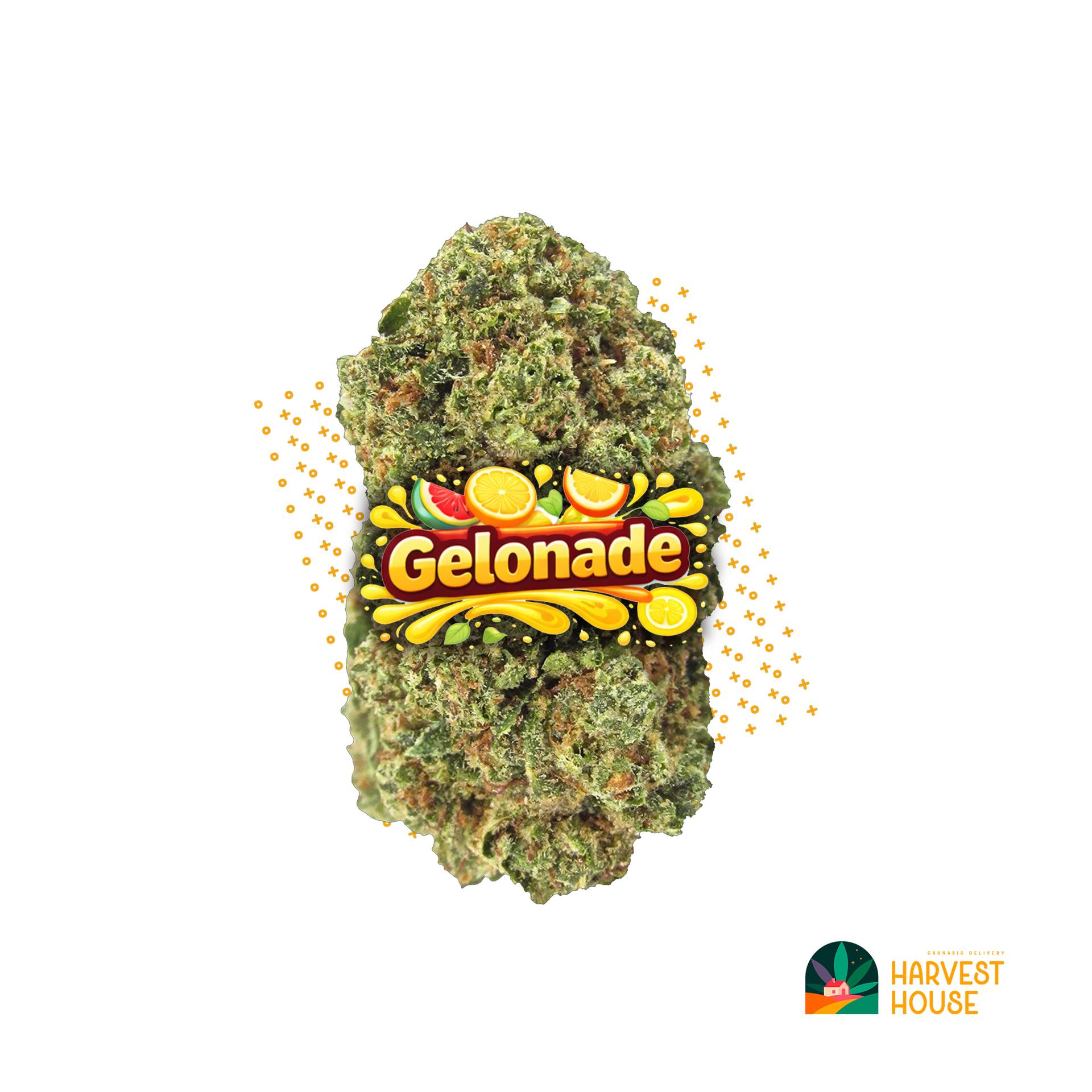Gelonade - Hybrid - 29% THC by Animal