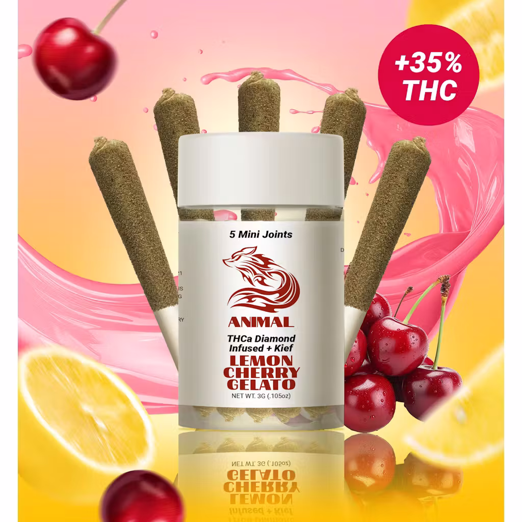 Animal 3g 5pk THCa Prerolls - Lemon Cherry Gelato 36% Indica