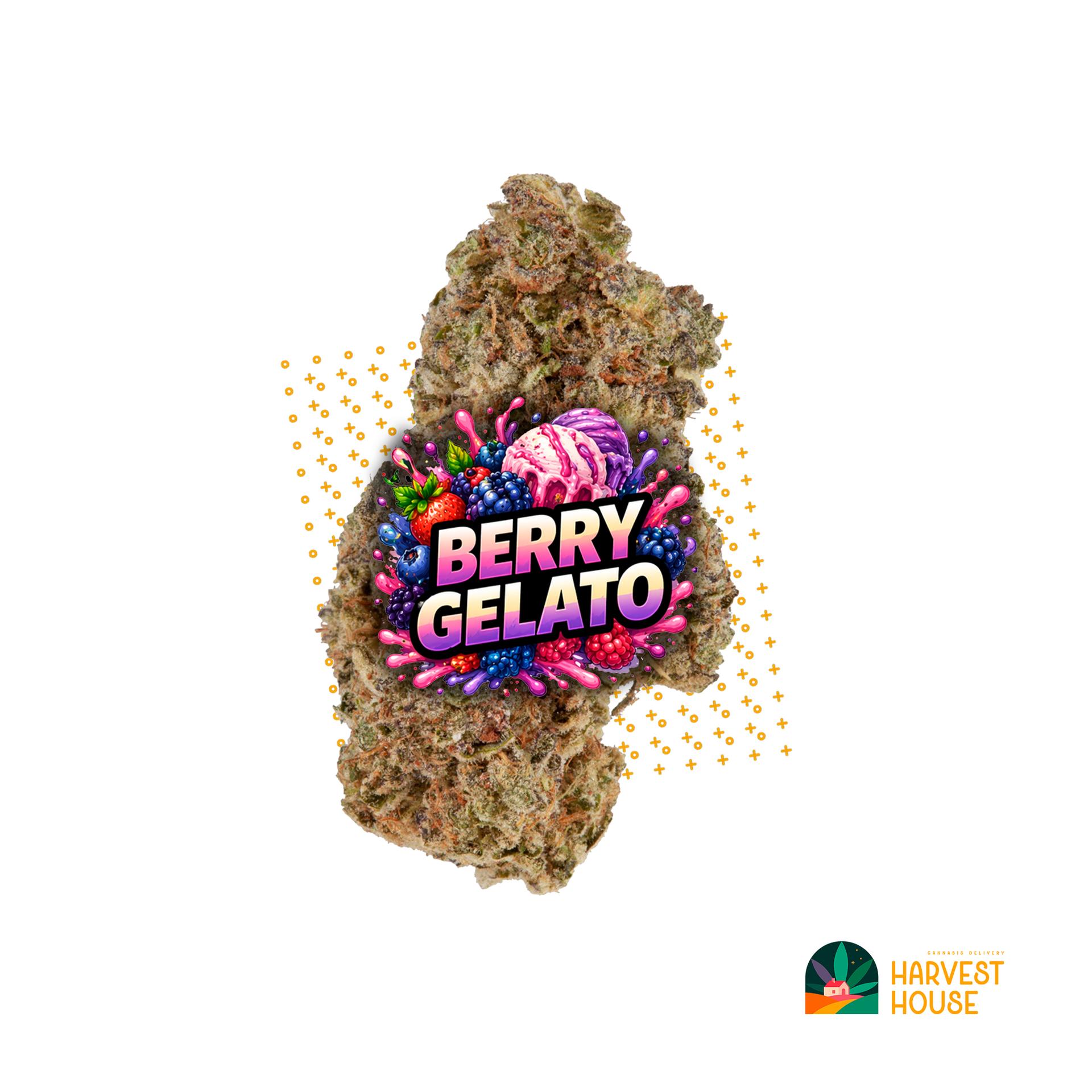 Berry Gelato - Hybrid - 28.86% THC by Animal