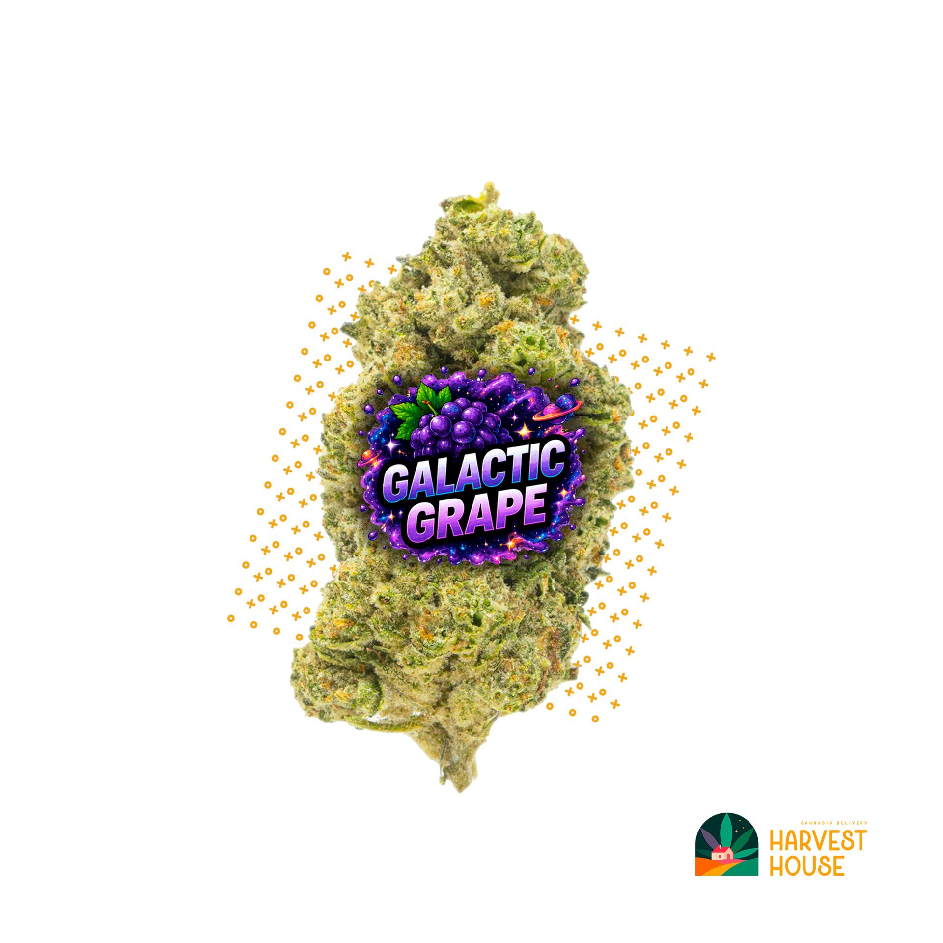 Galactic Grape - Indica - 28.28% THC by Animal