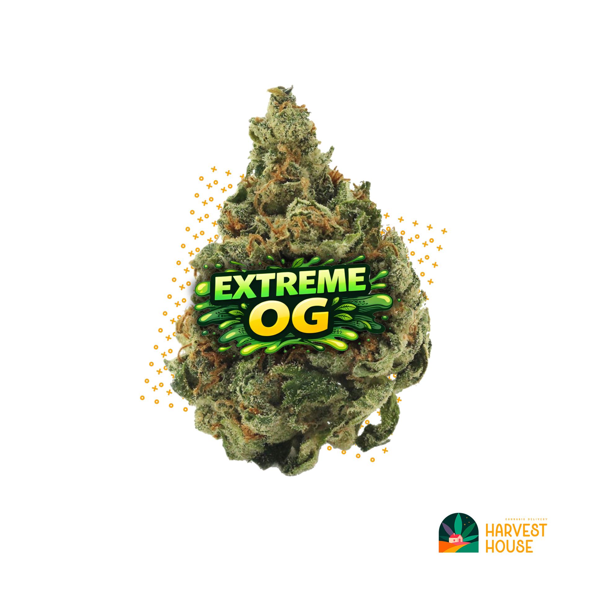 Extreme OG - Indica - 28.67% THC by Animal