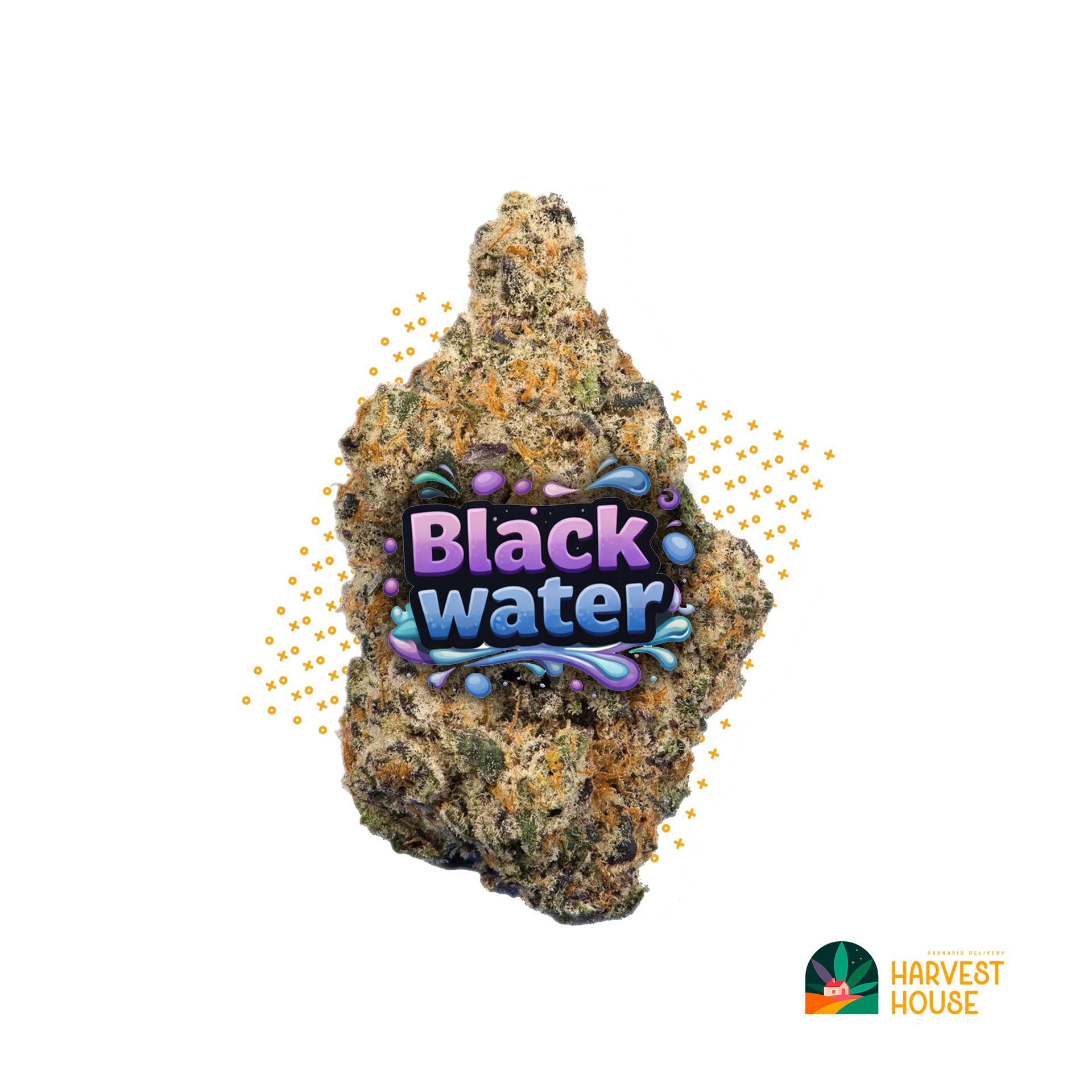 Blackwater - Indica - 39.12% THC by Animal