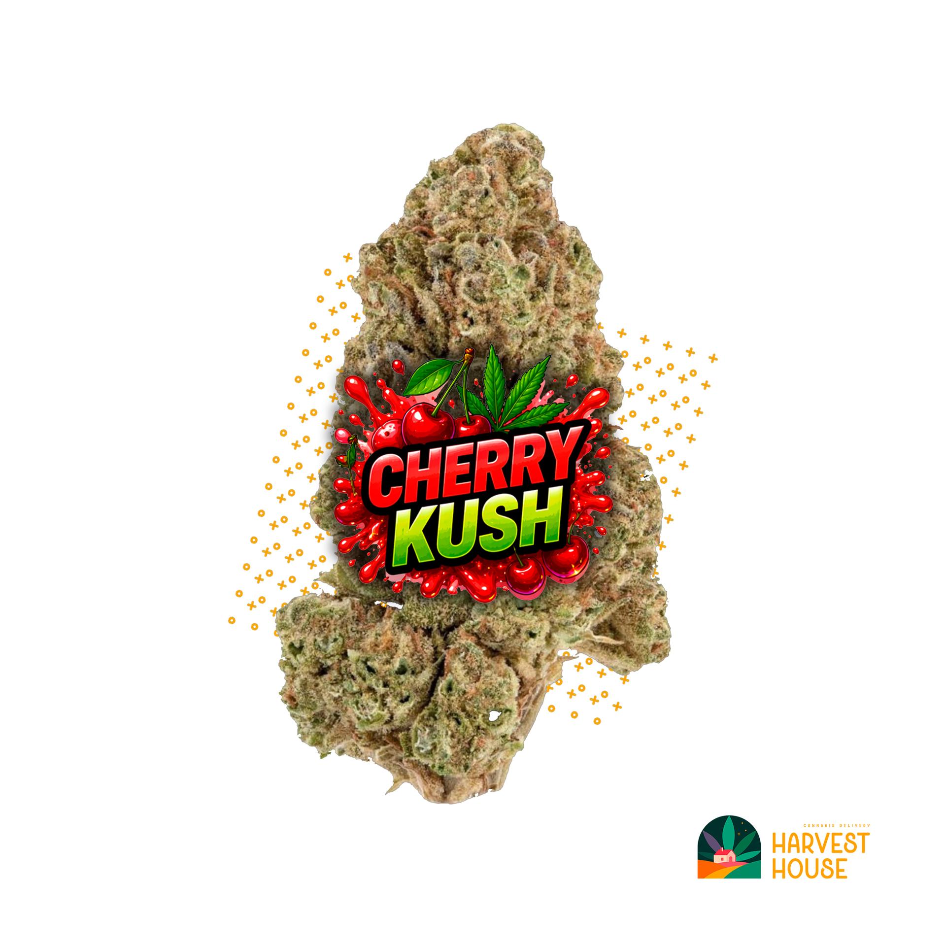 Cherry Kush - Indica - 29.56% THC by Animal