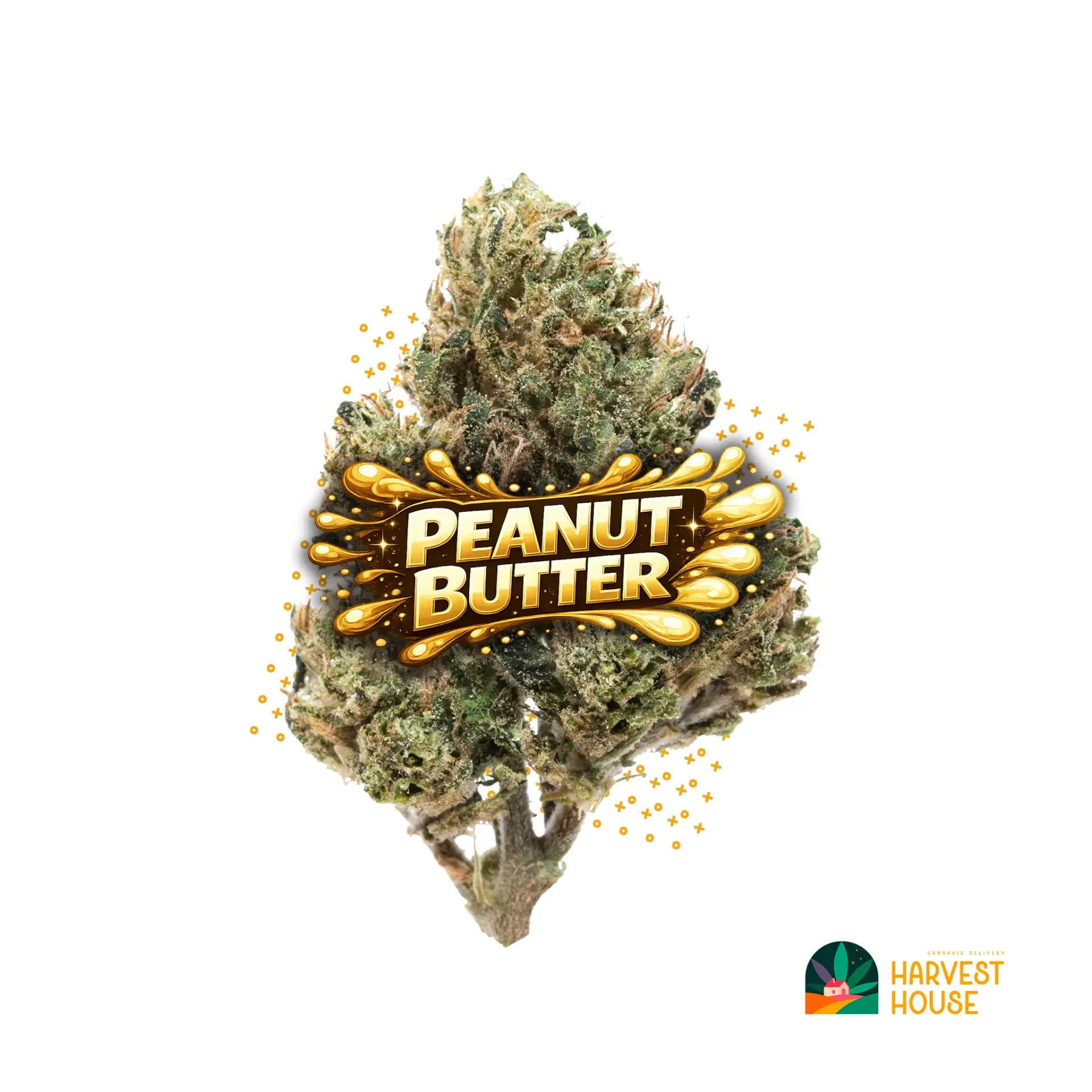 Peanut Butter - Hybrid - 31.22% THC by Animal