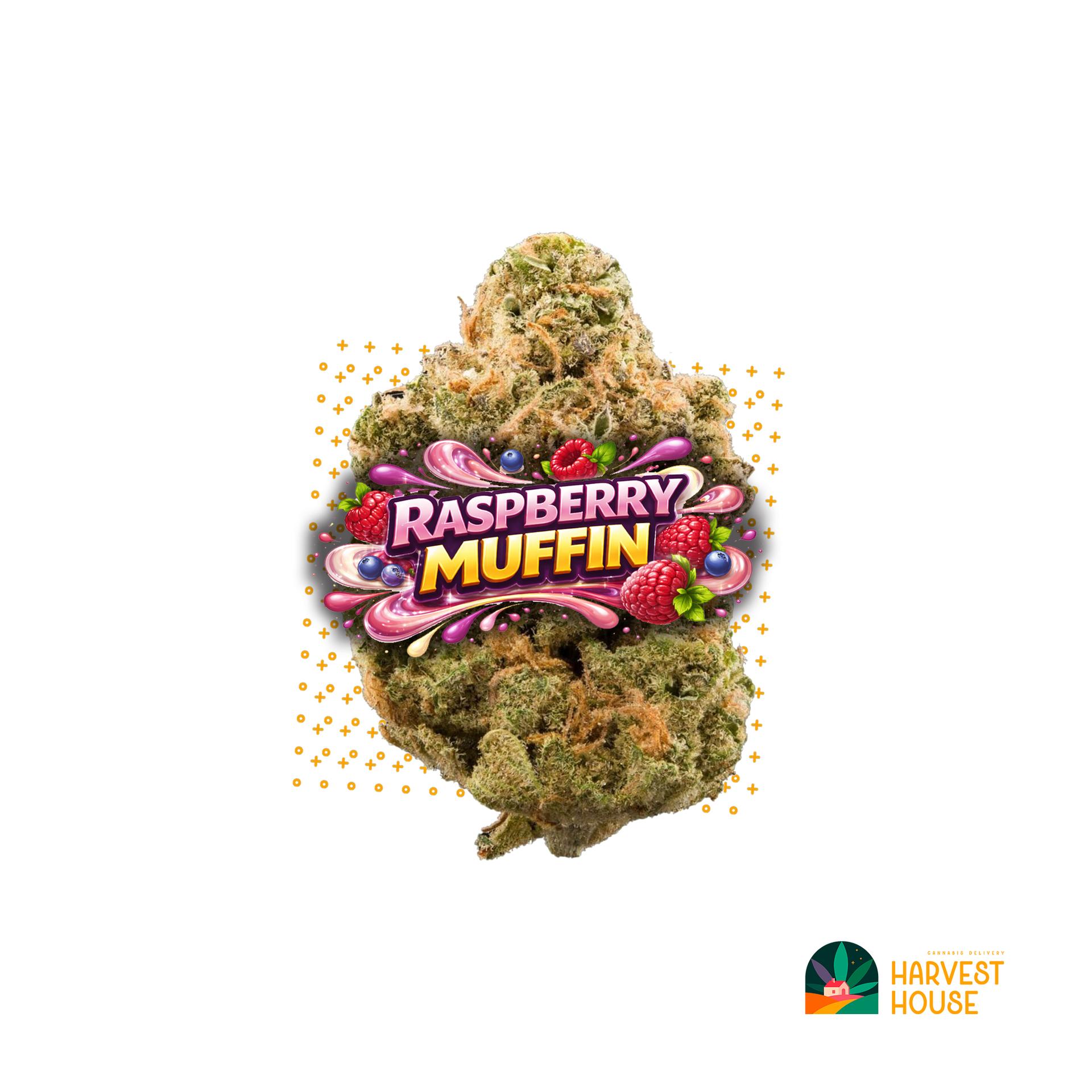 Raspberry Muffin - Hybrid - 34.6% THC by Animal