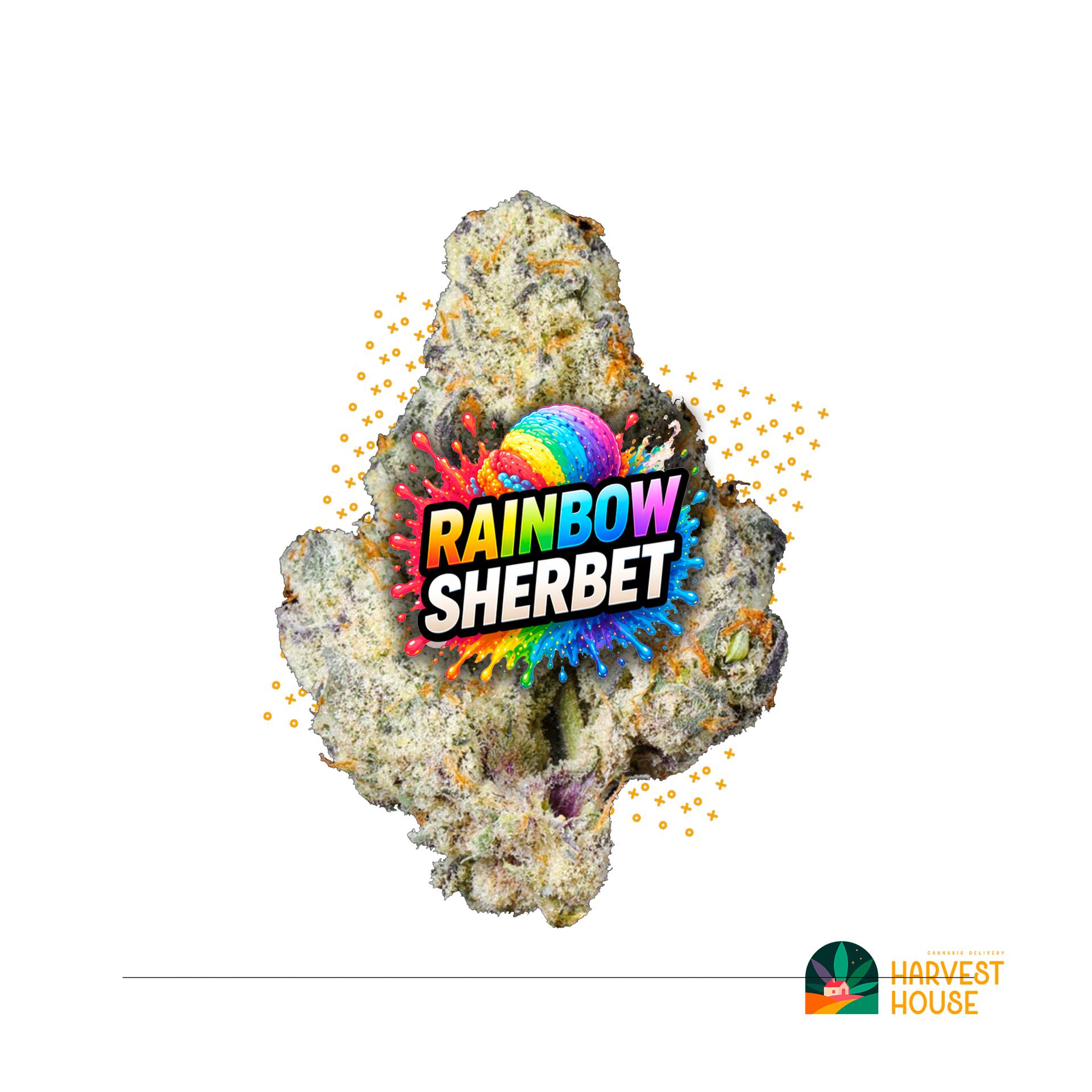 Rainbow Sherbet - Hybrid - 31.22% THC by Animal