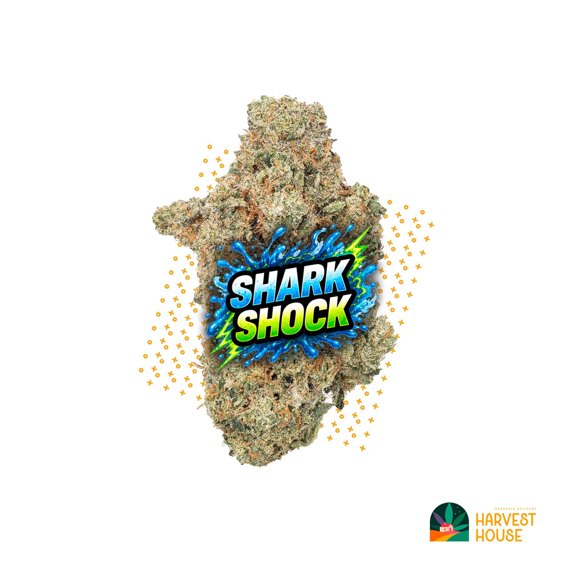 Shark Shock - Indica - 26.76% THC by Animal