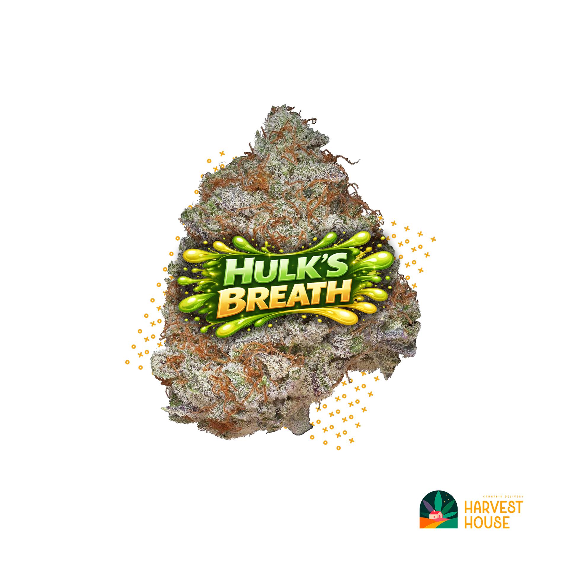 Hulk's Breath - Hybrid - 32.56% THC by Animal
