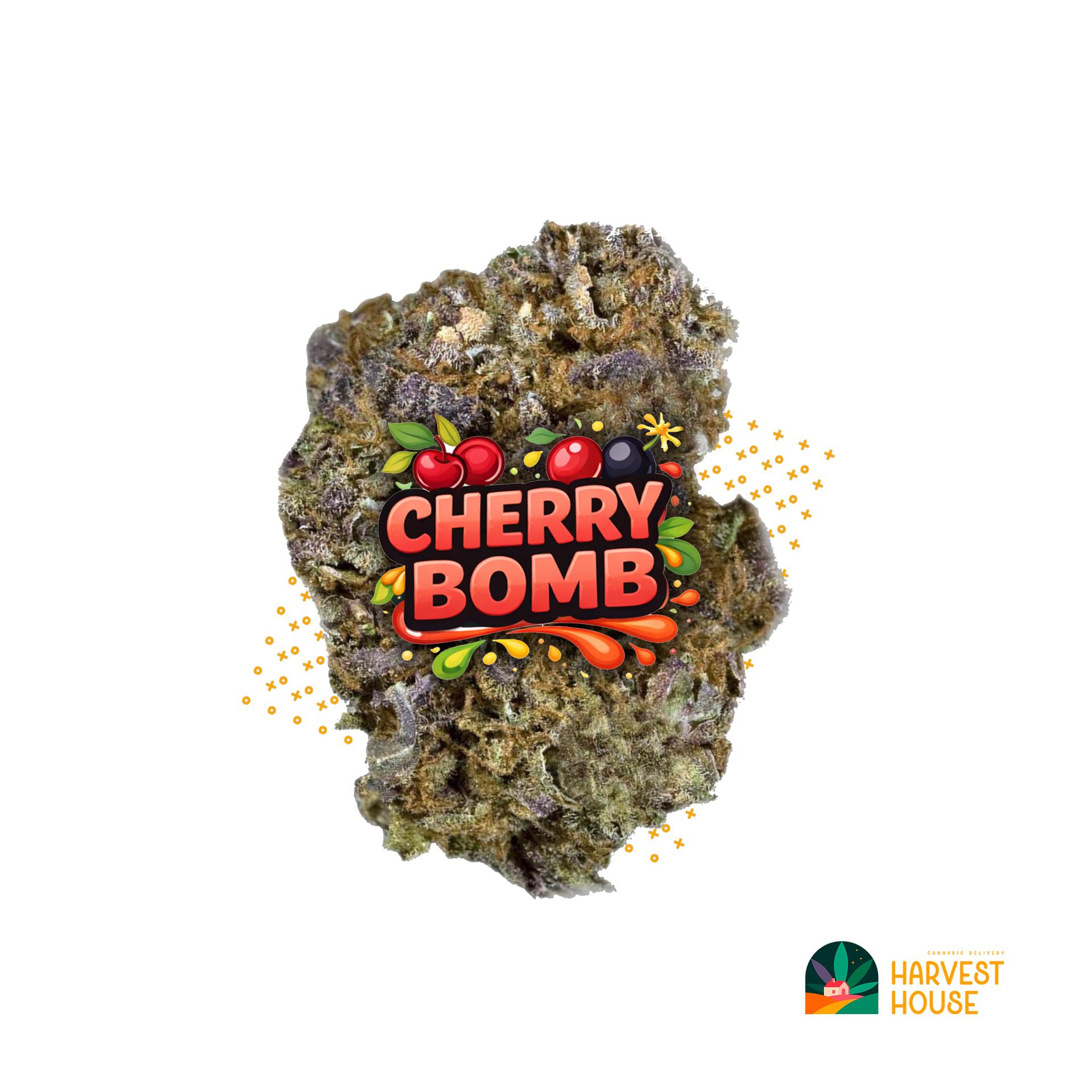 Cherry Bomb - Hybrid - 38.11% THC by Animal