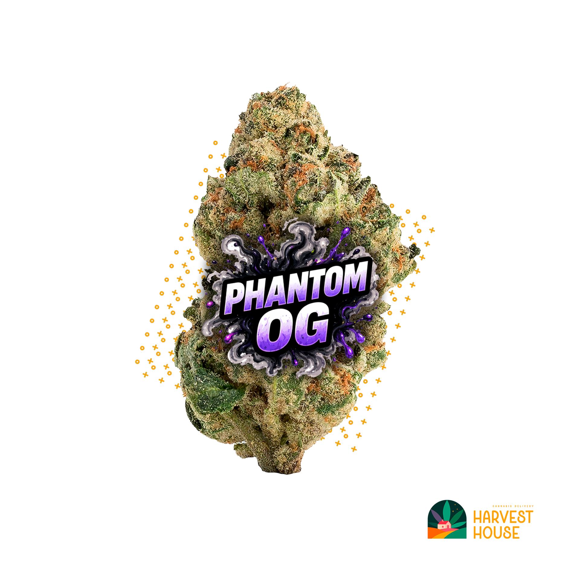 Phantom OG - Indica - 28.72% THC by Animal