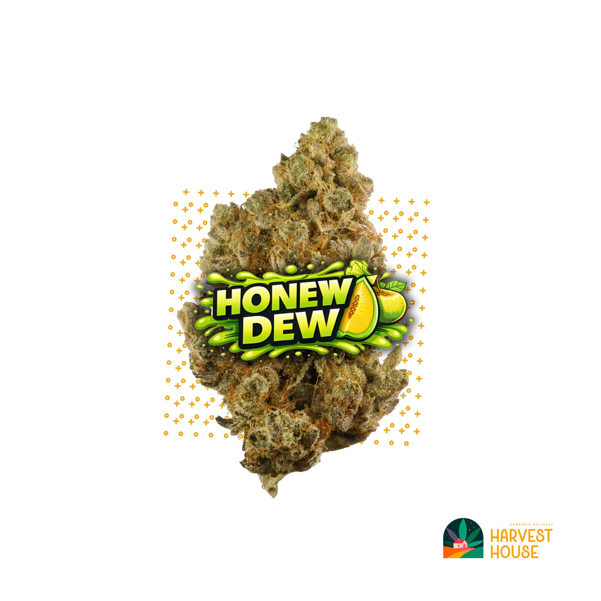 Honeydew - Hybrid - 30.75% THC by Animal