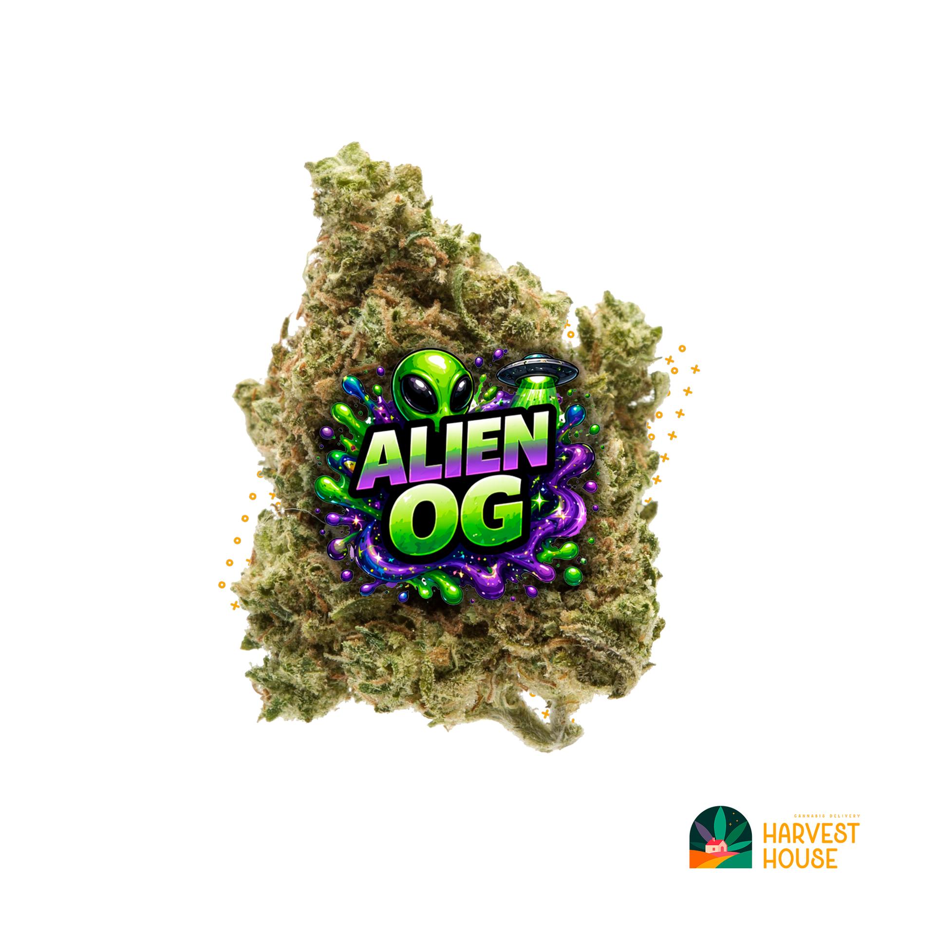 Alien OG - Indica - 30.89% THC by Animal