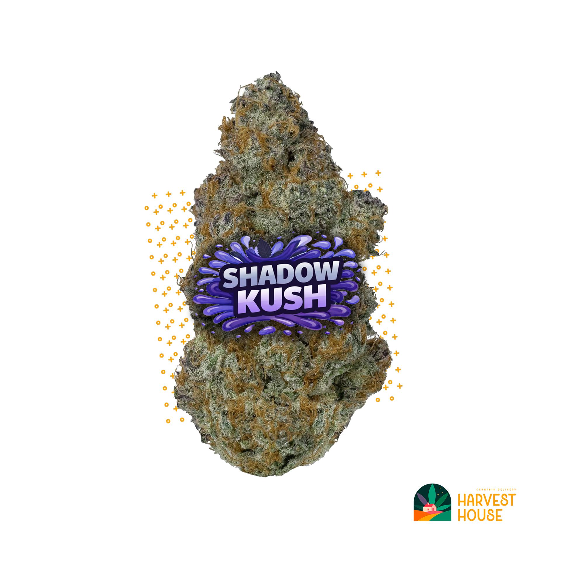 Shadow Kush - Indica - 30.93% THC by Animal