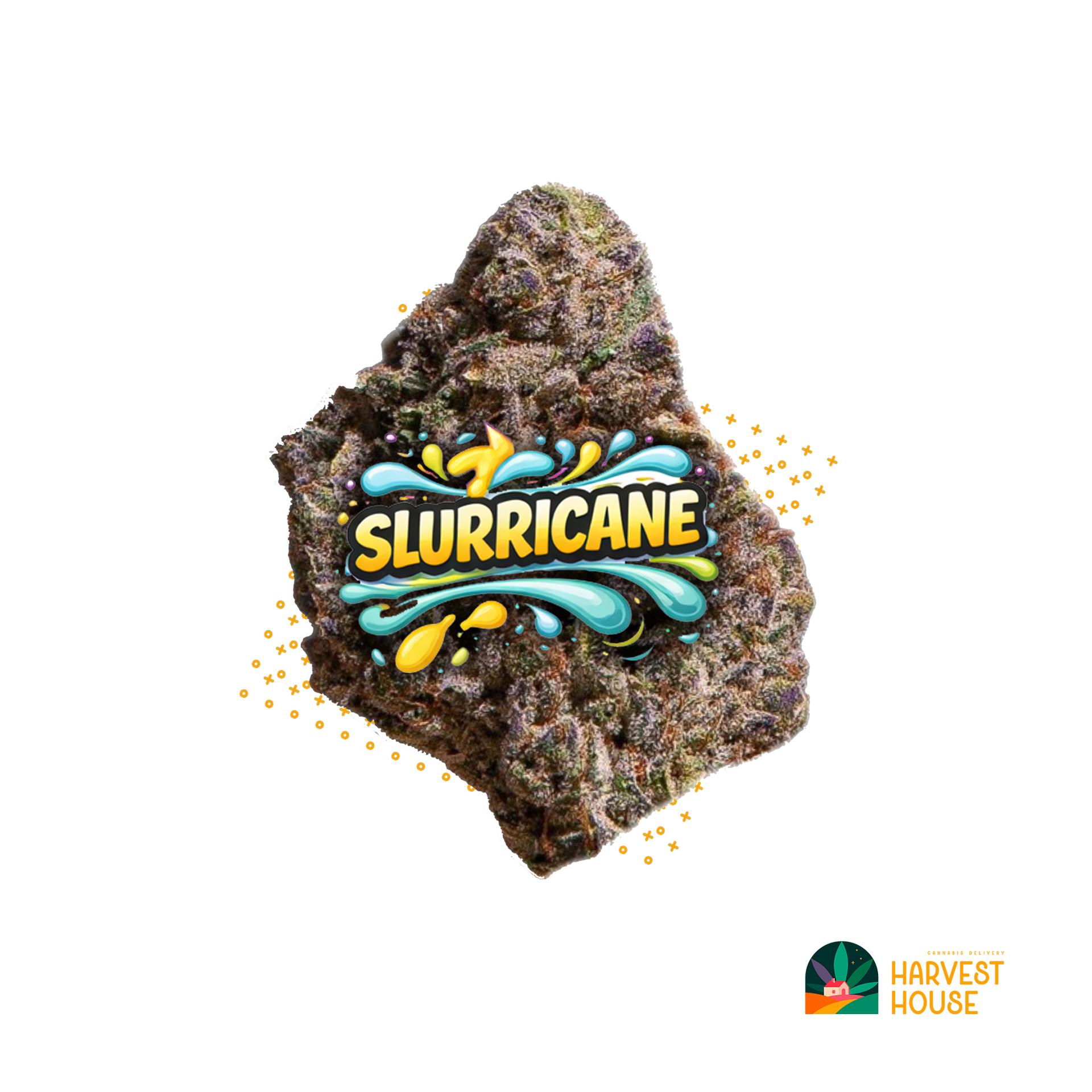 Slurricane - Hybrid - 39% THC by Animal