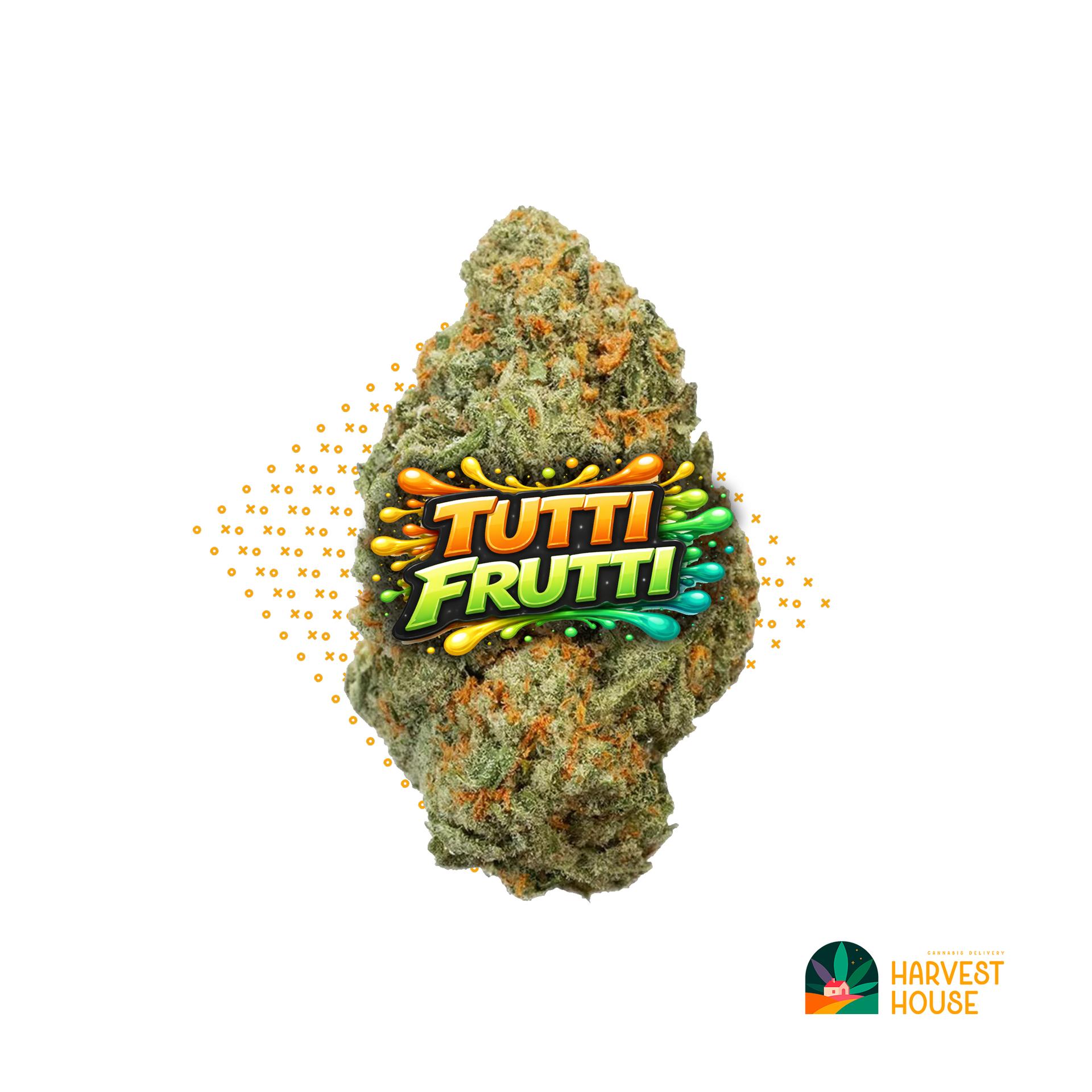 Tutti Frutti - Sativa - 23.75% THC by Animal