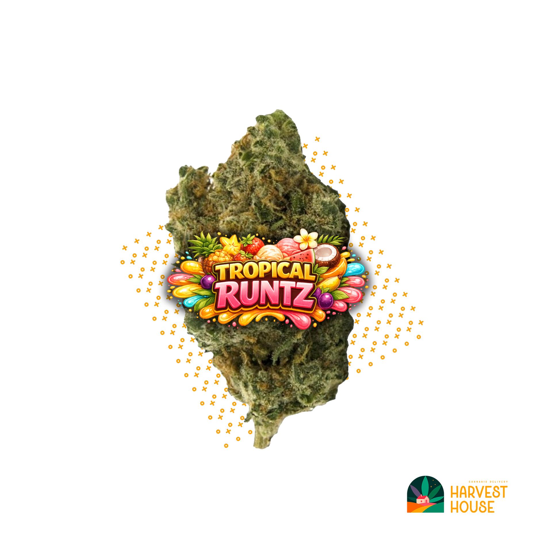 Tropical Runtz - Hybrid - 29.65% THC by Animal