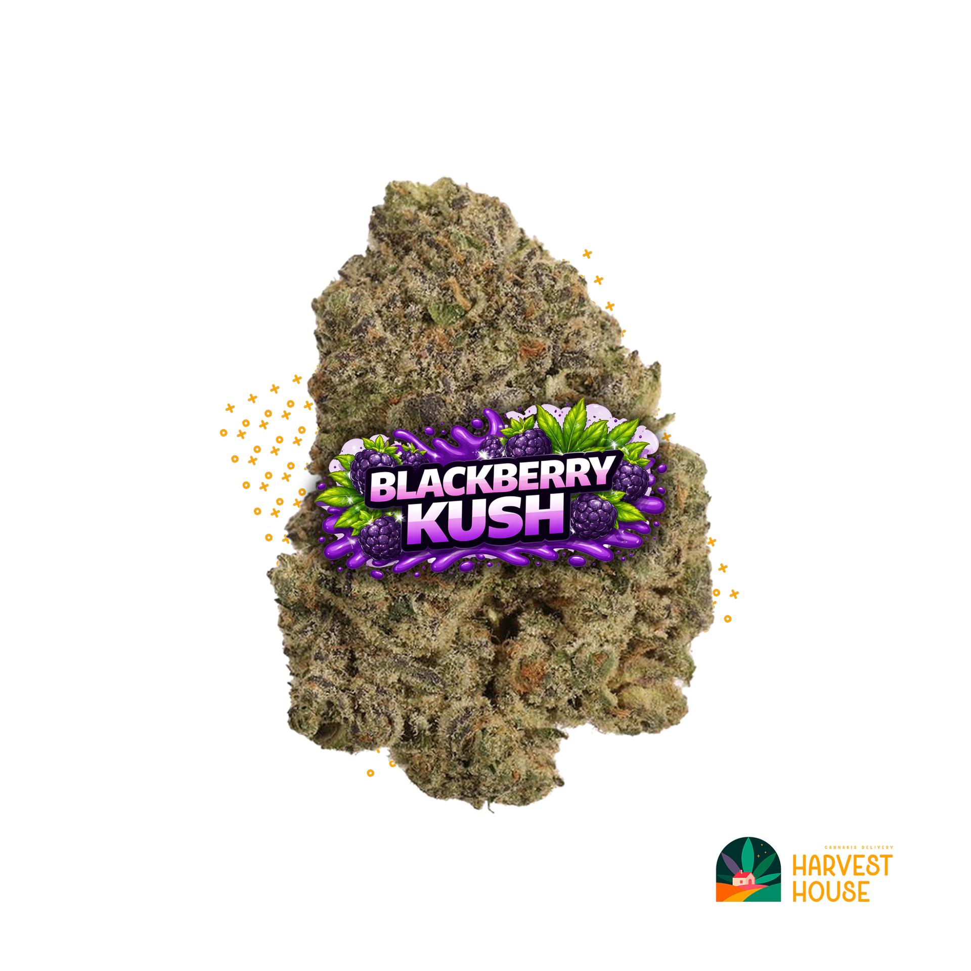 Blackberry Kush - Indica - 33.15% THC by Animal