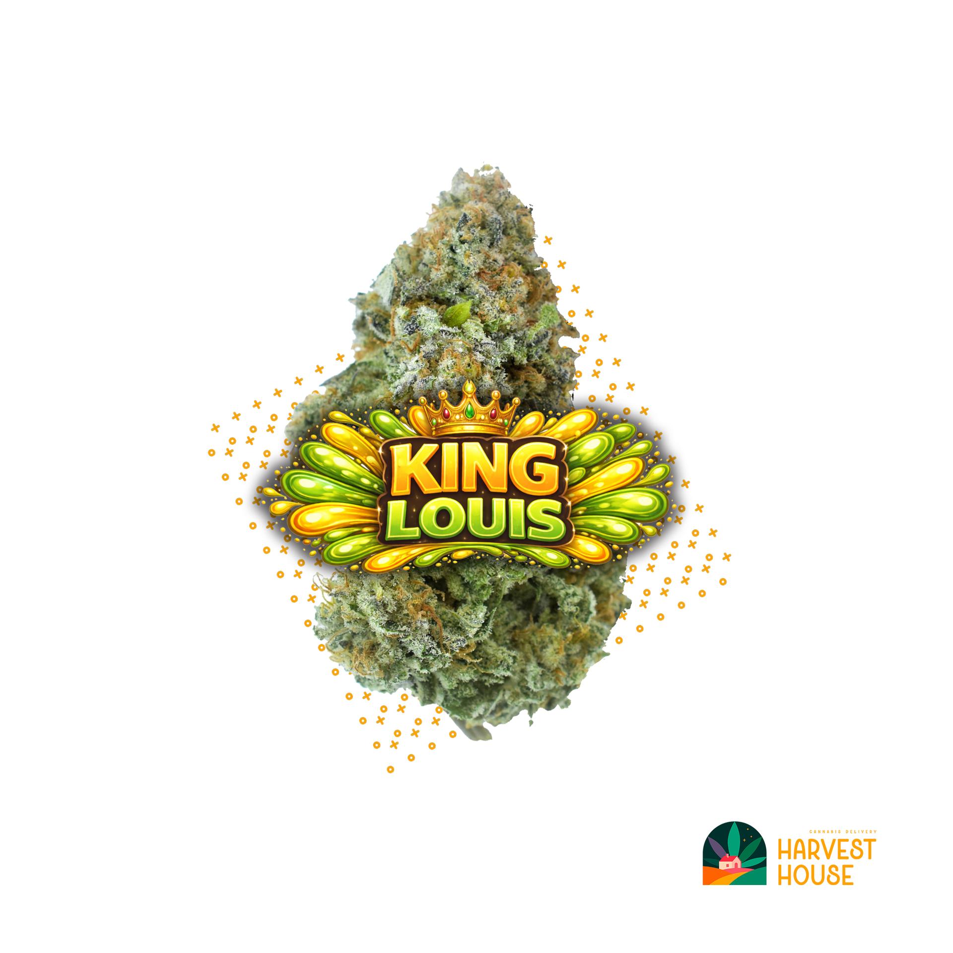 King Louis - Indica - 30.96% THC by Animal