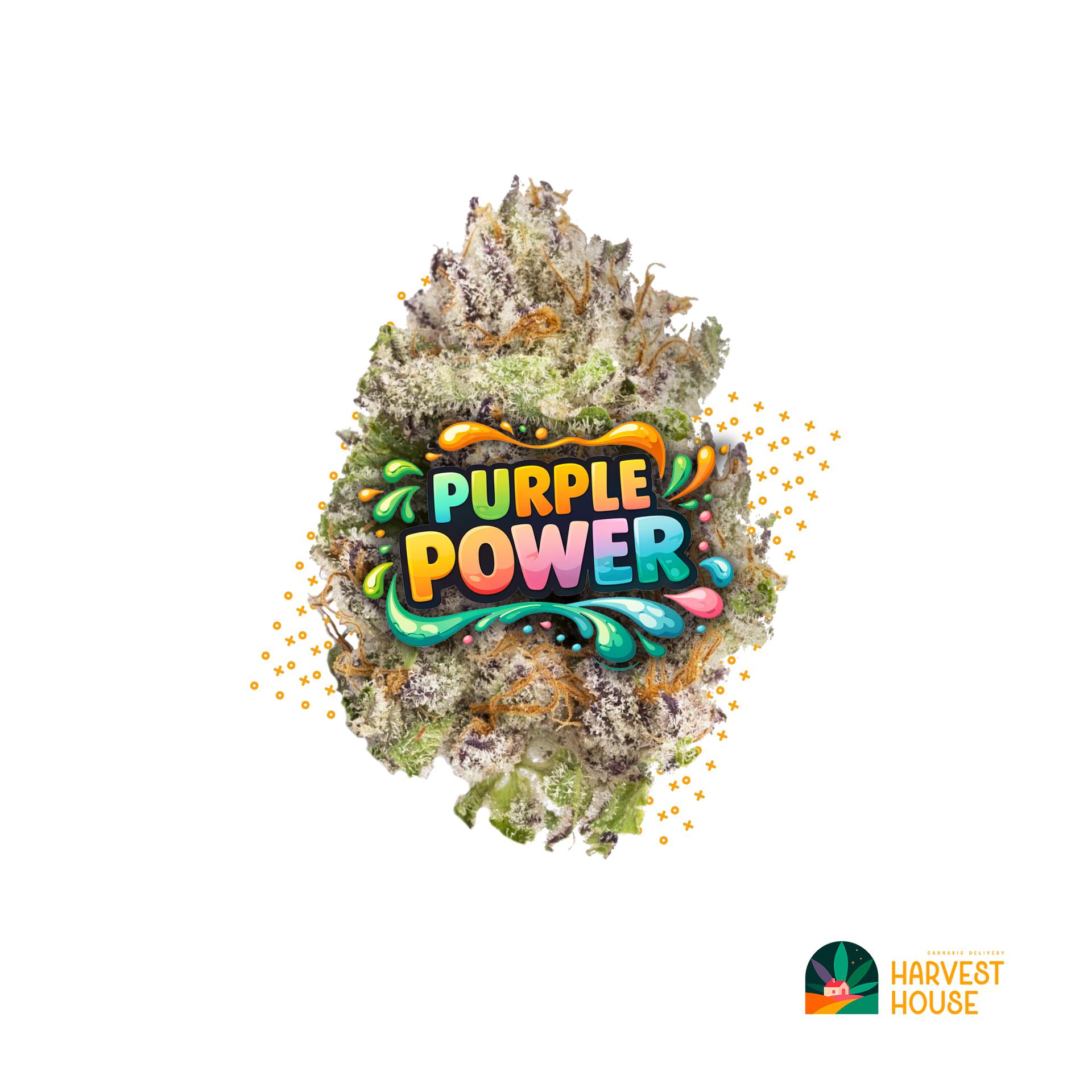 Purple Power - Sativa - 35.95% THC by Animal