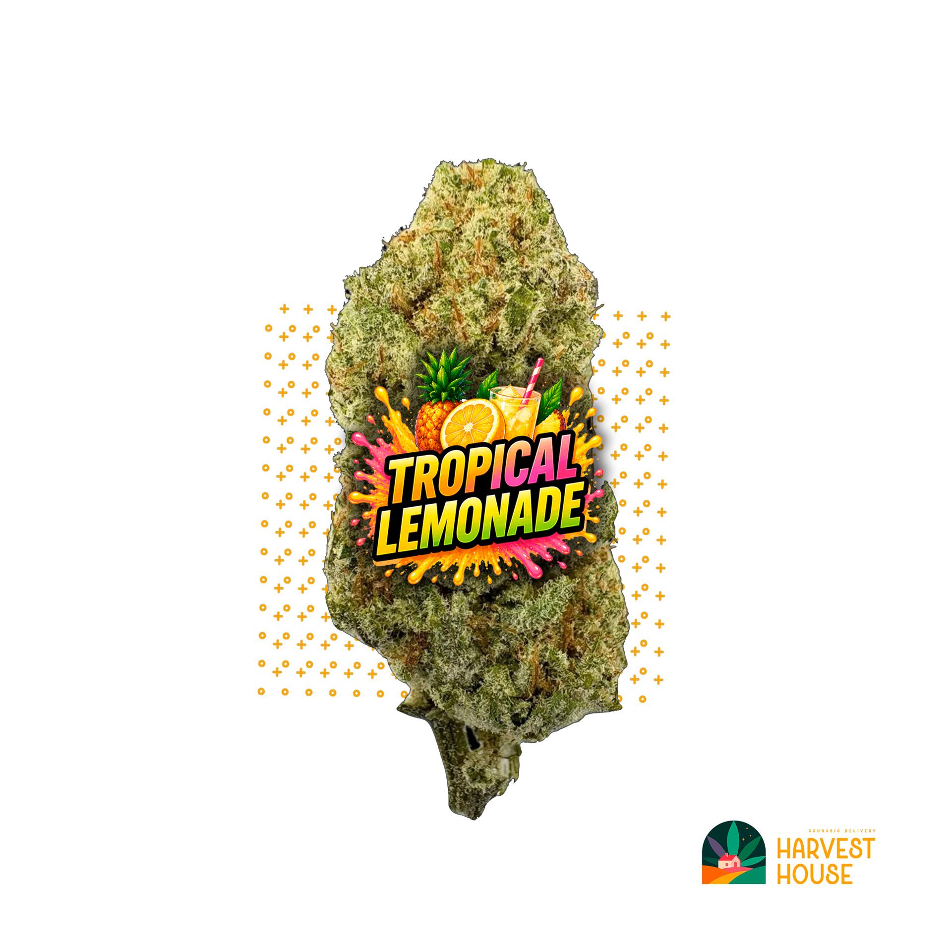Tropical Lemonade - Sativa - 29.77% THC by Animal