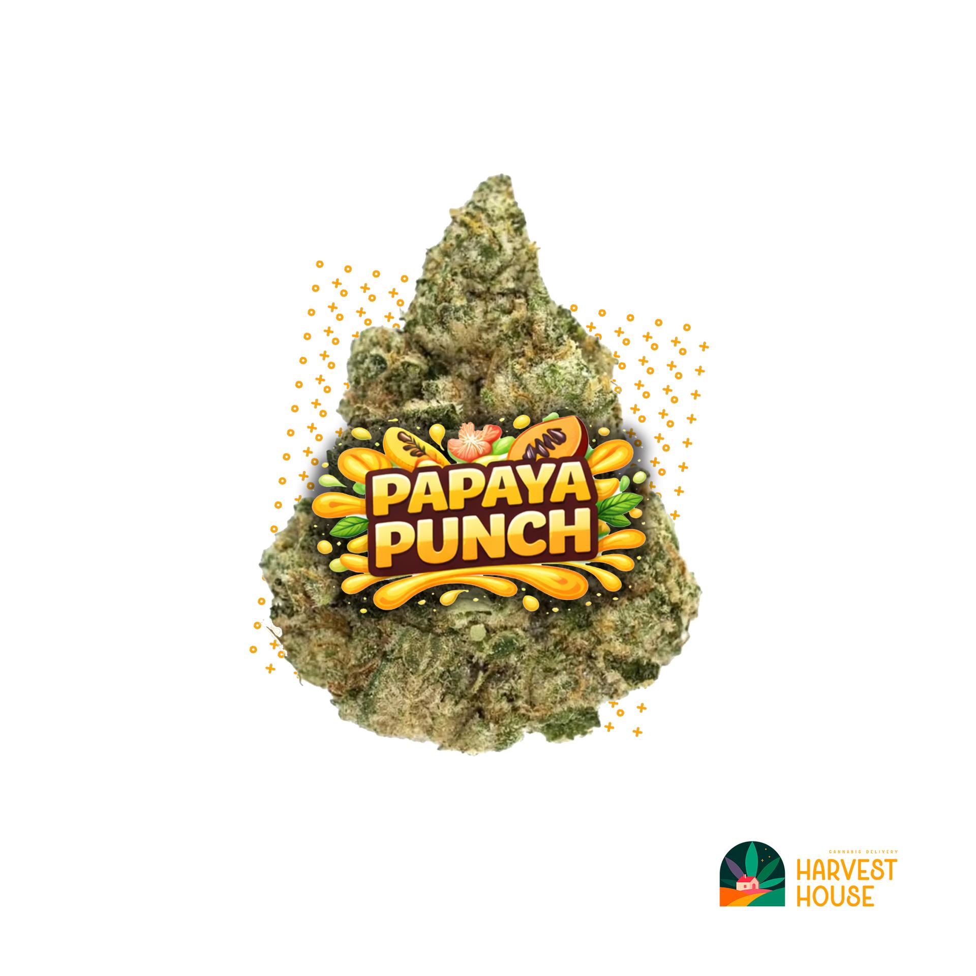 Papaya Punch - Hybrid - 28.03% THC by Animal