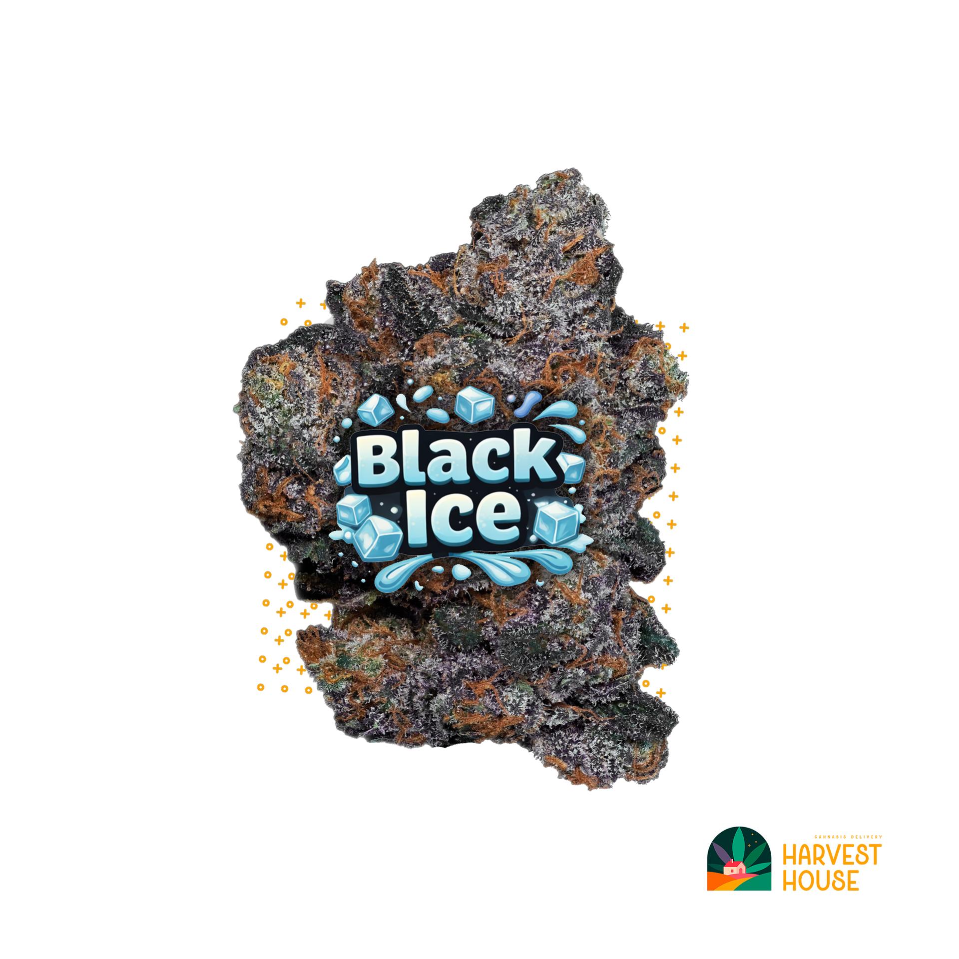 Black Ice - Indica - 36.44% THC by Animal