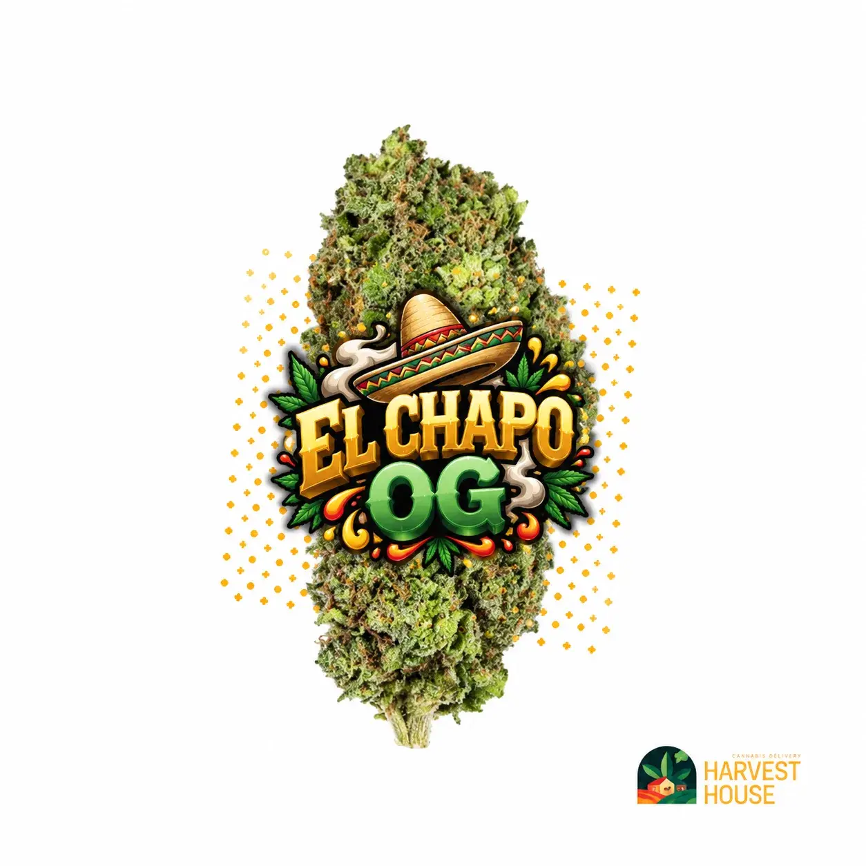 El Chapo OG - Indica - 29.99% THC by Harvest House