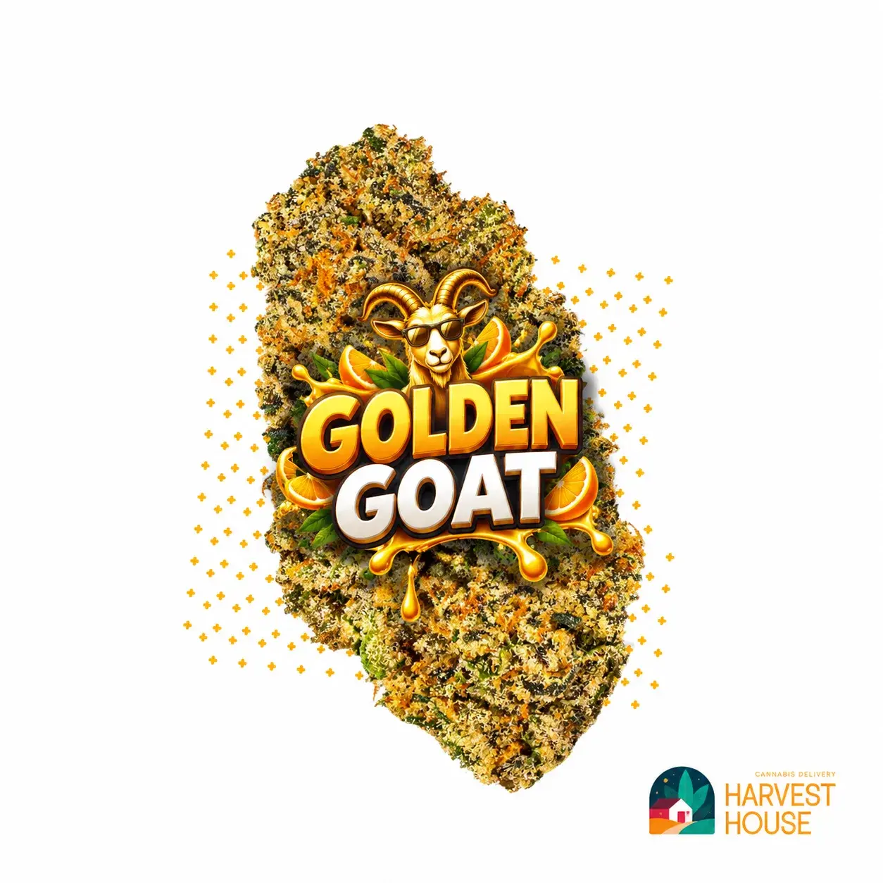 Golden Goat - Indica - 32.79% THC by Harvest House