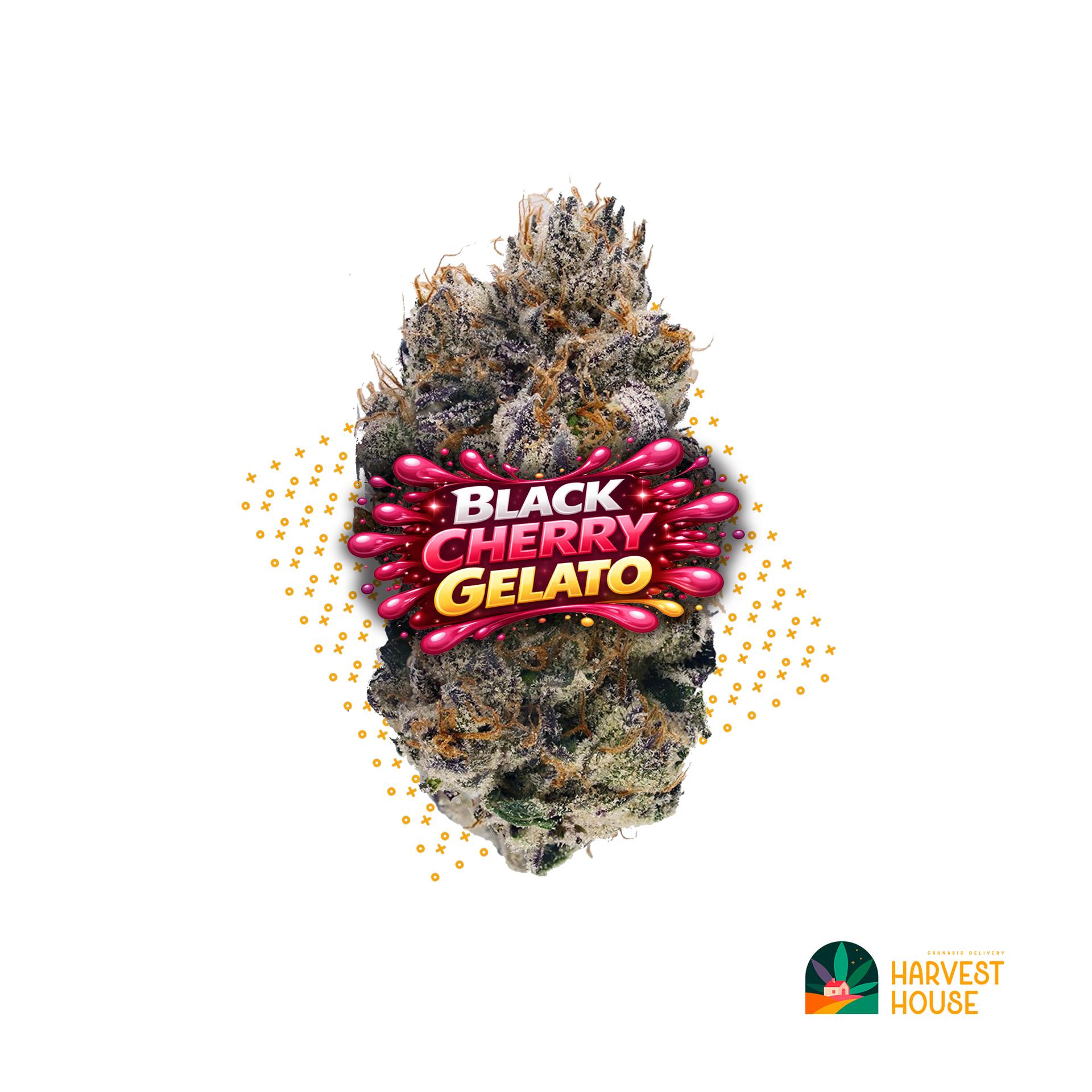 Black Cherry Gelato - Hybrid - 34.22% THC by Animal