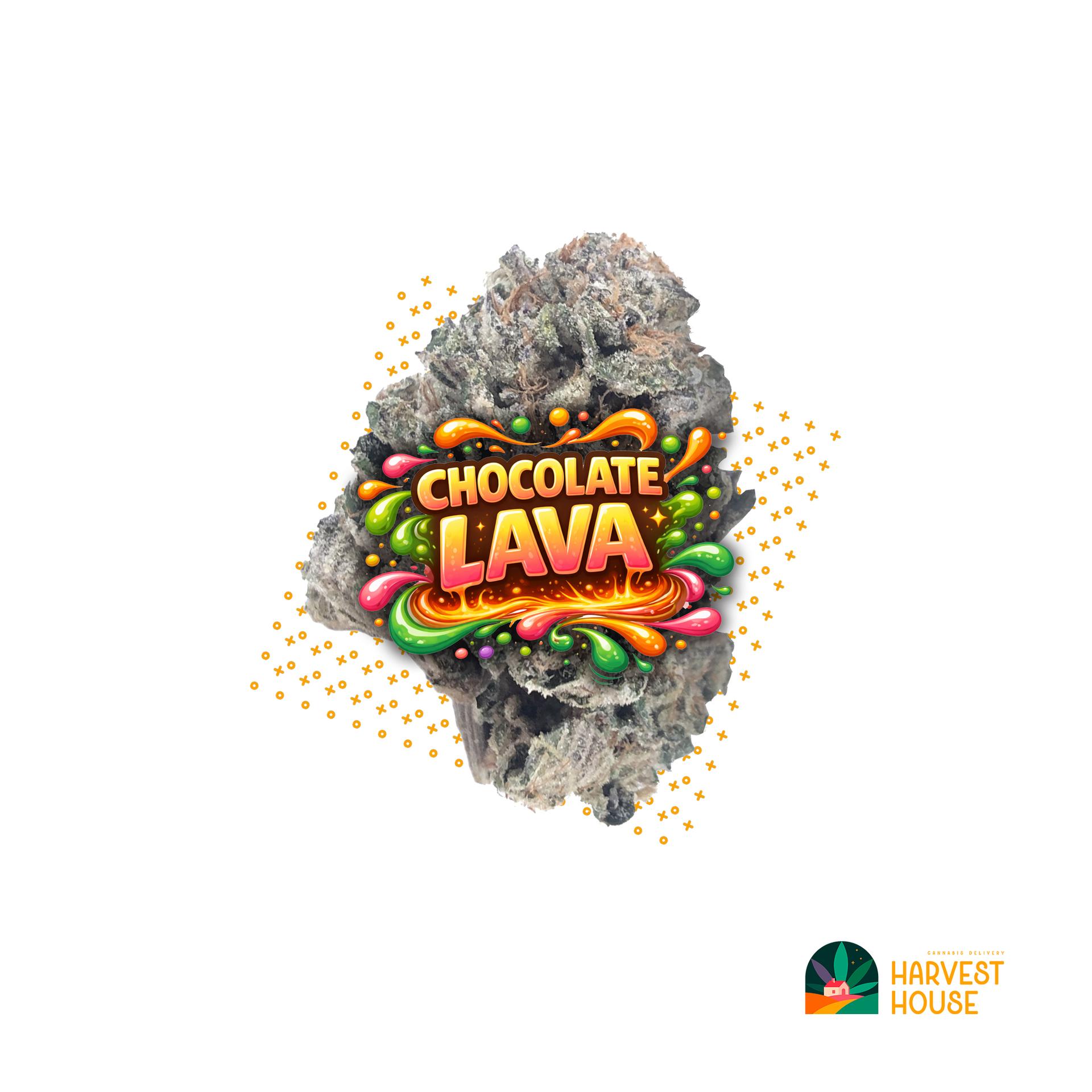 Chocolate Lava - Hybrid - 32% THC by Animal