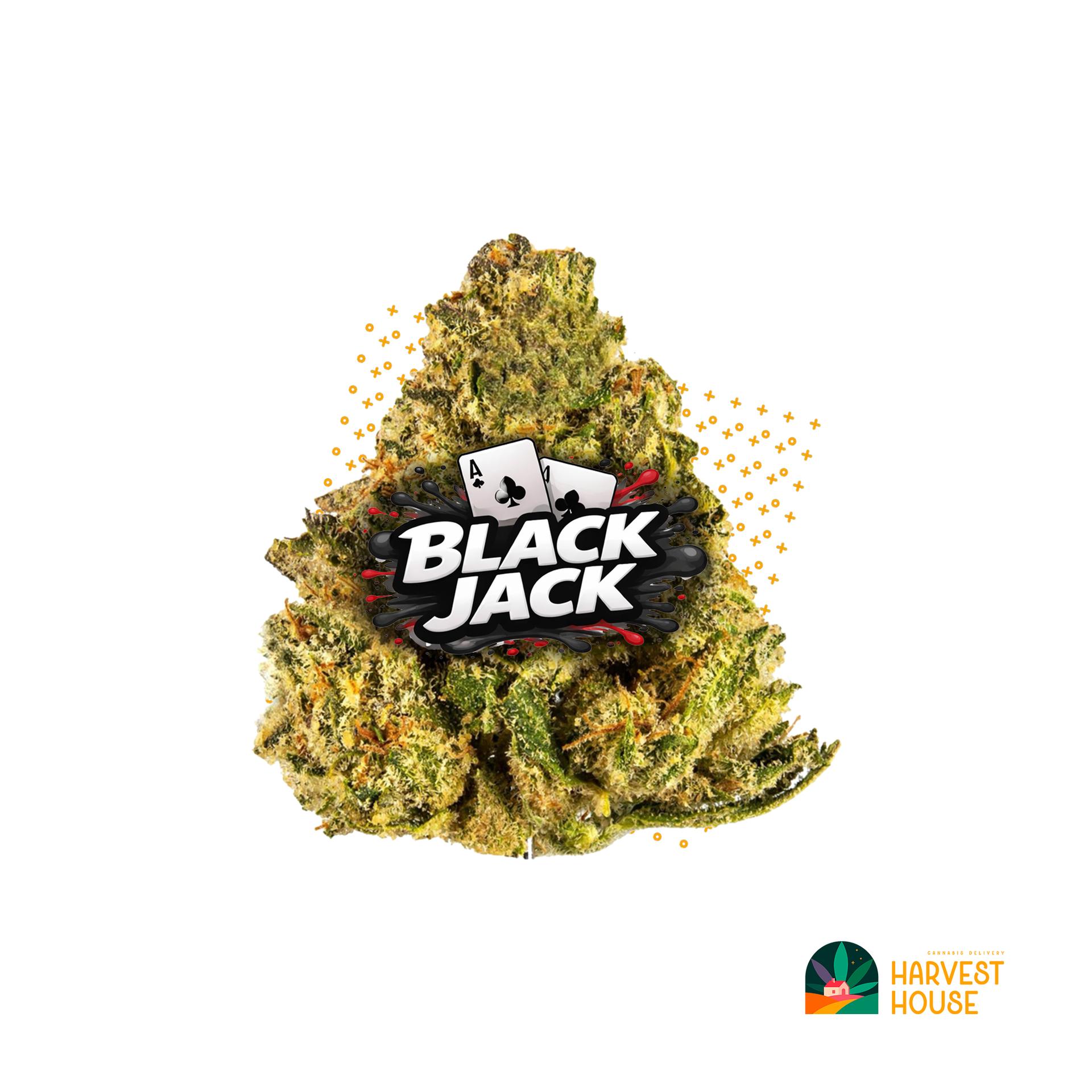 Blackjack - Indica - 30.55% THC by Animal
