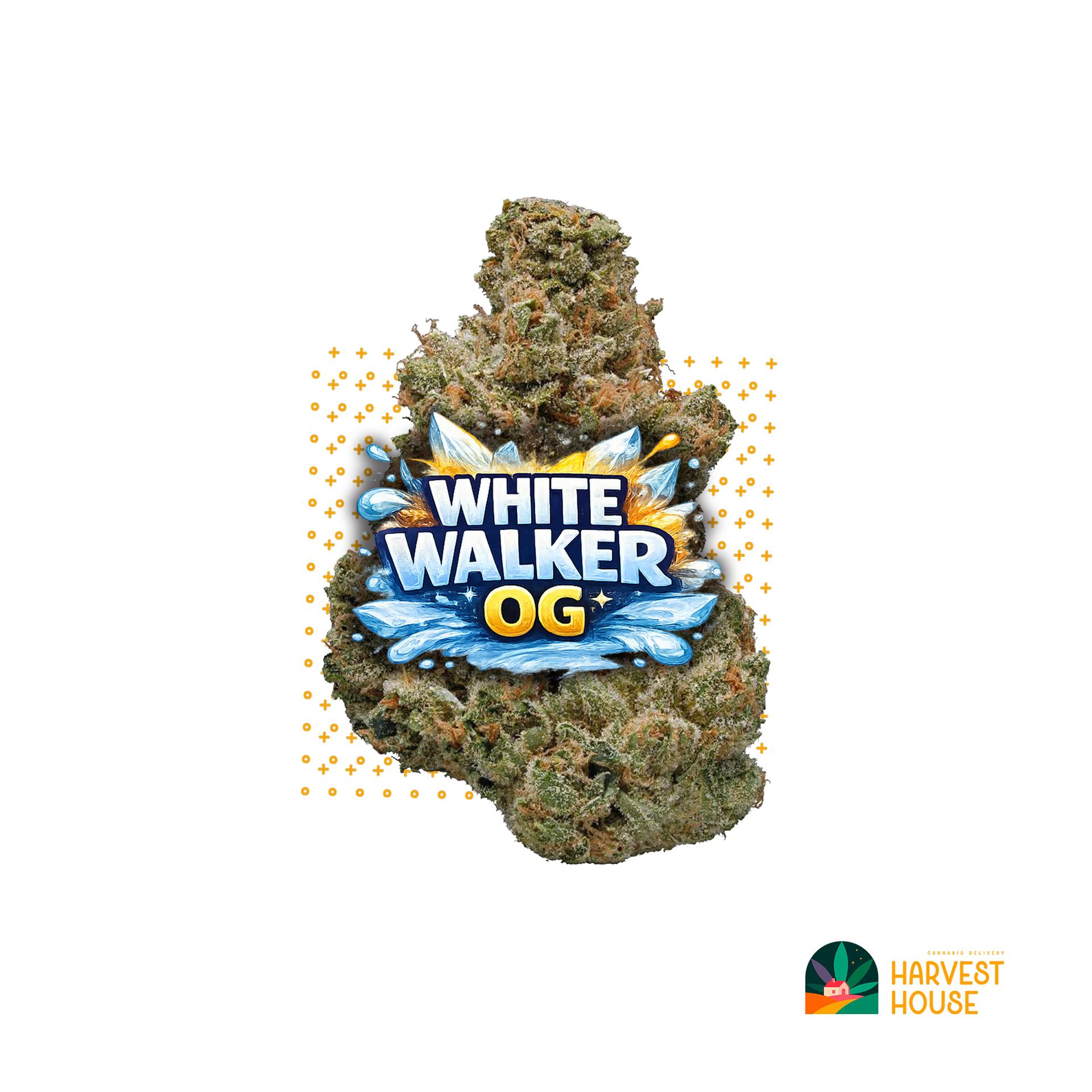 White Walker OG - Indica - 35.98% THC by Animal