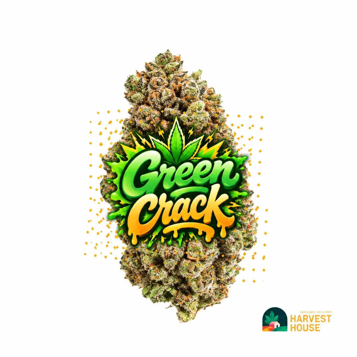 Green Crack - Sativa - 30.12% THC by Harvest House