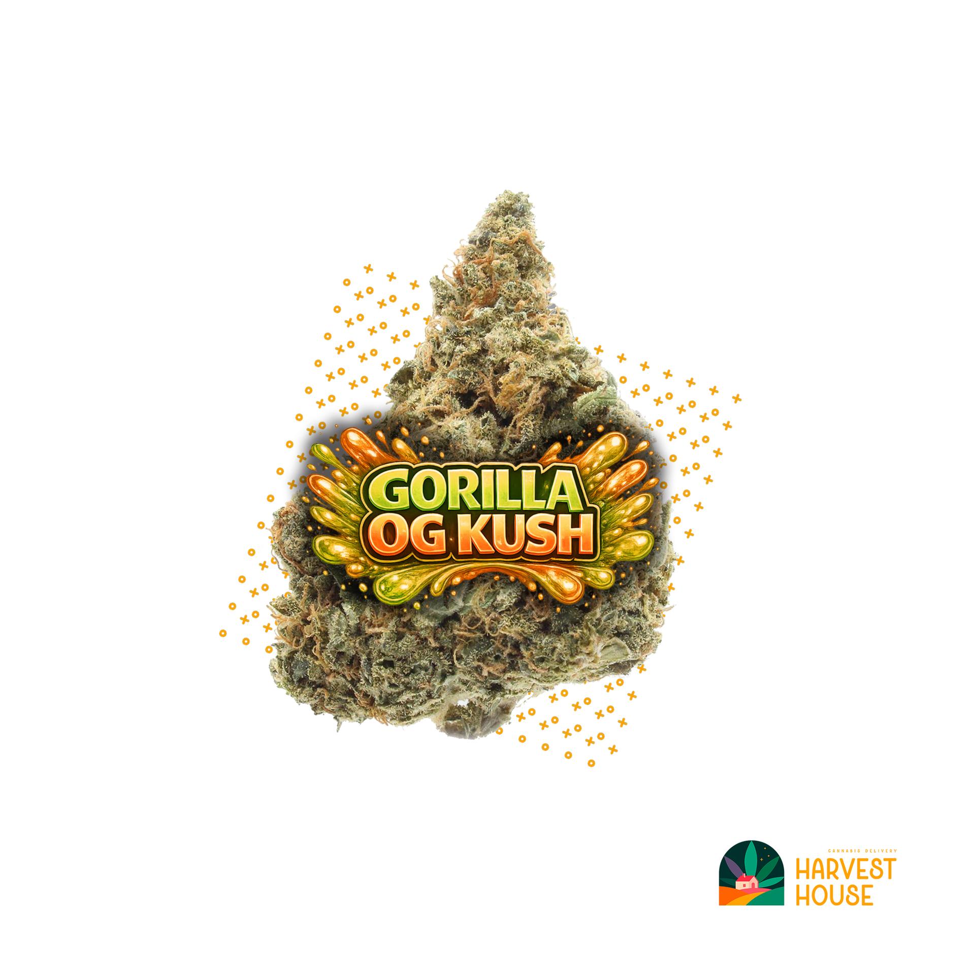 Gorilla OG Kush - Hybrid - 31.22% THC by Animal
