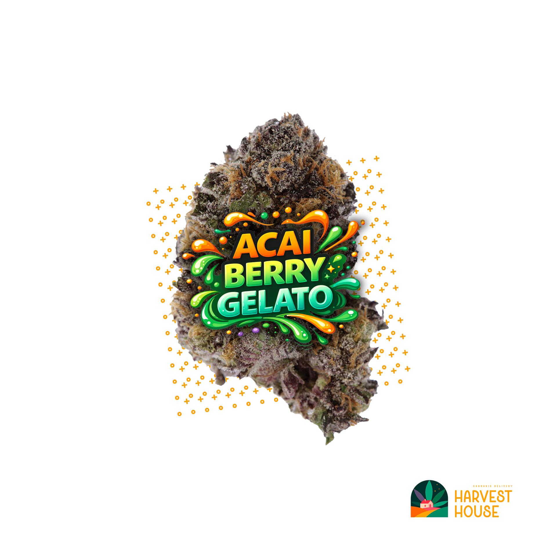 Acaí Berry Gelato - Sativa - 32.96% THC by Animal