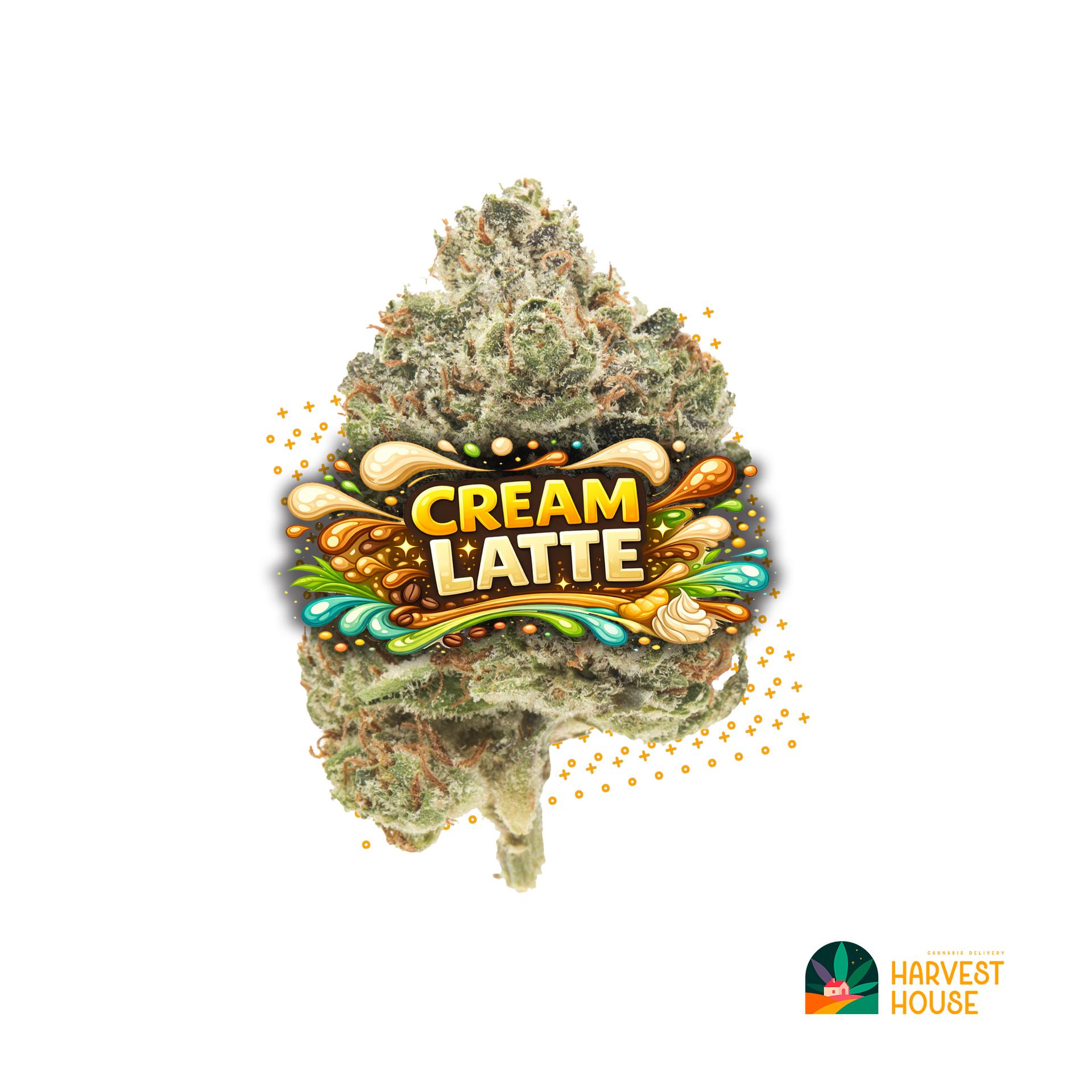 Cream Latte - Hybrid - 32.96% THC by Animal