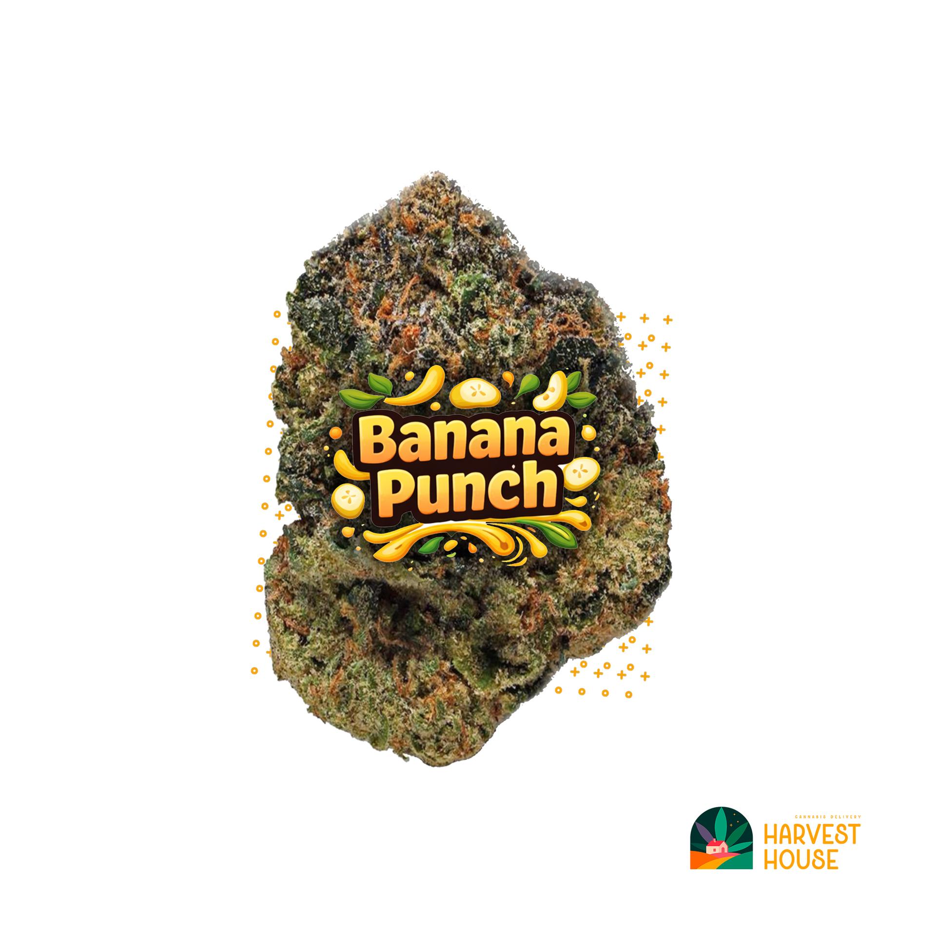 Banana Punch - Hybrid - 36.03% THC by Animal