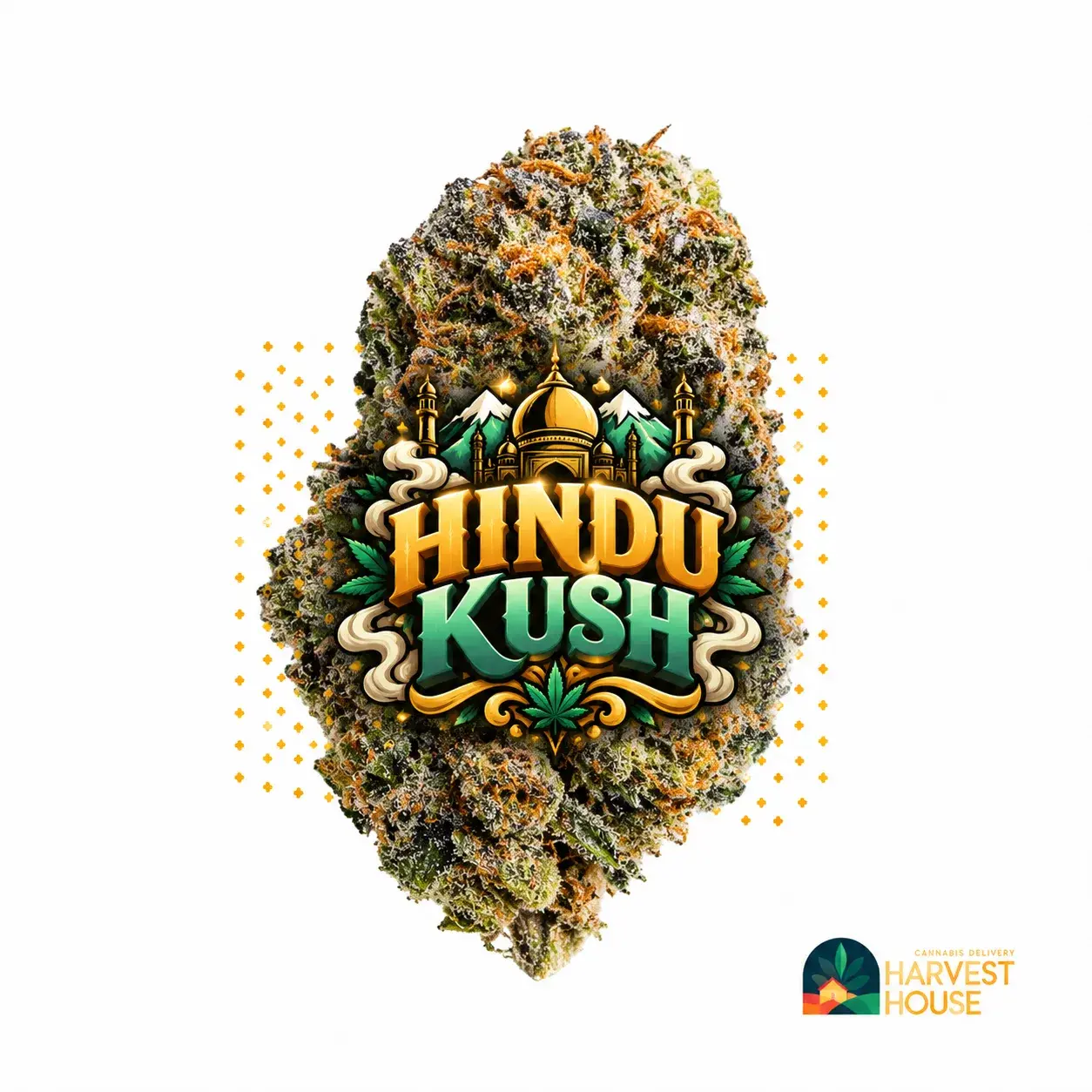 Hindu Kush - Indica - 29.89% THC by Harvest House